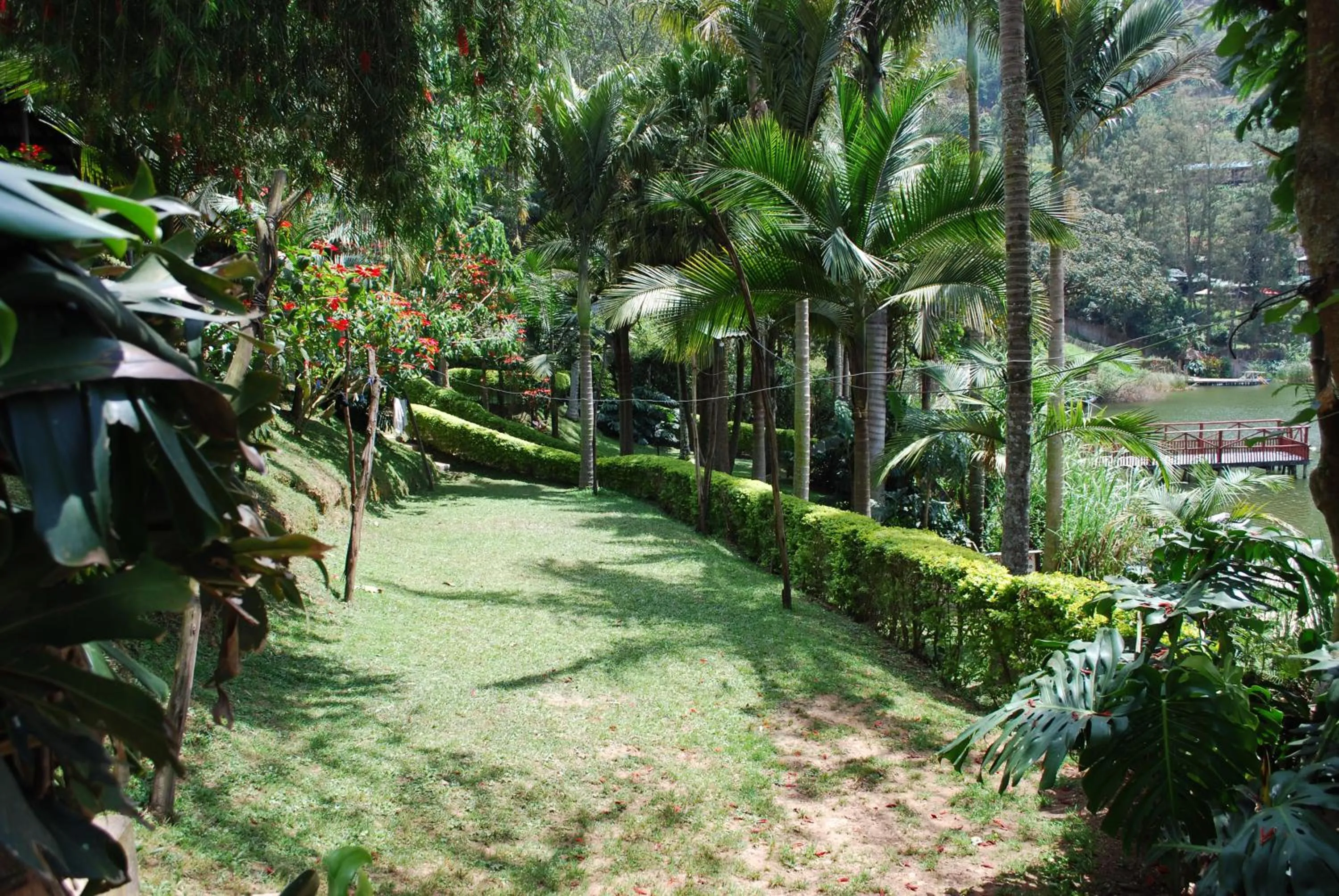 Crater Bay Cottages