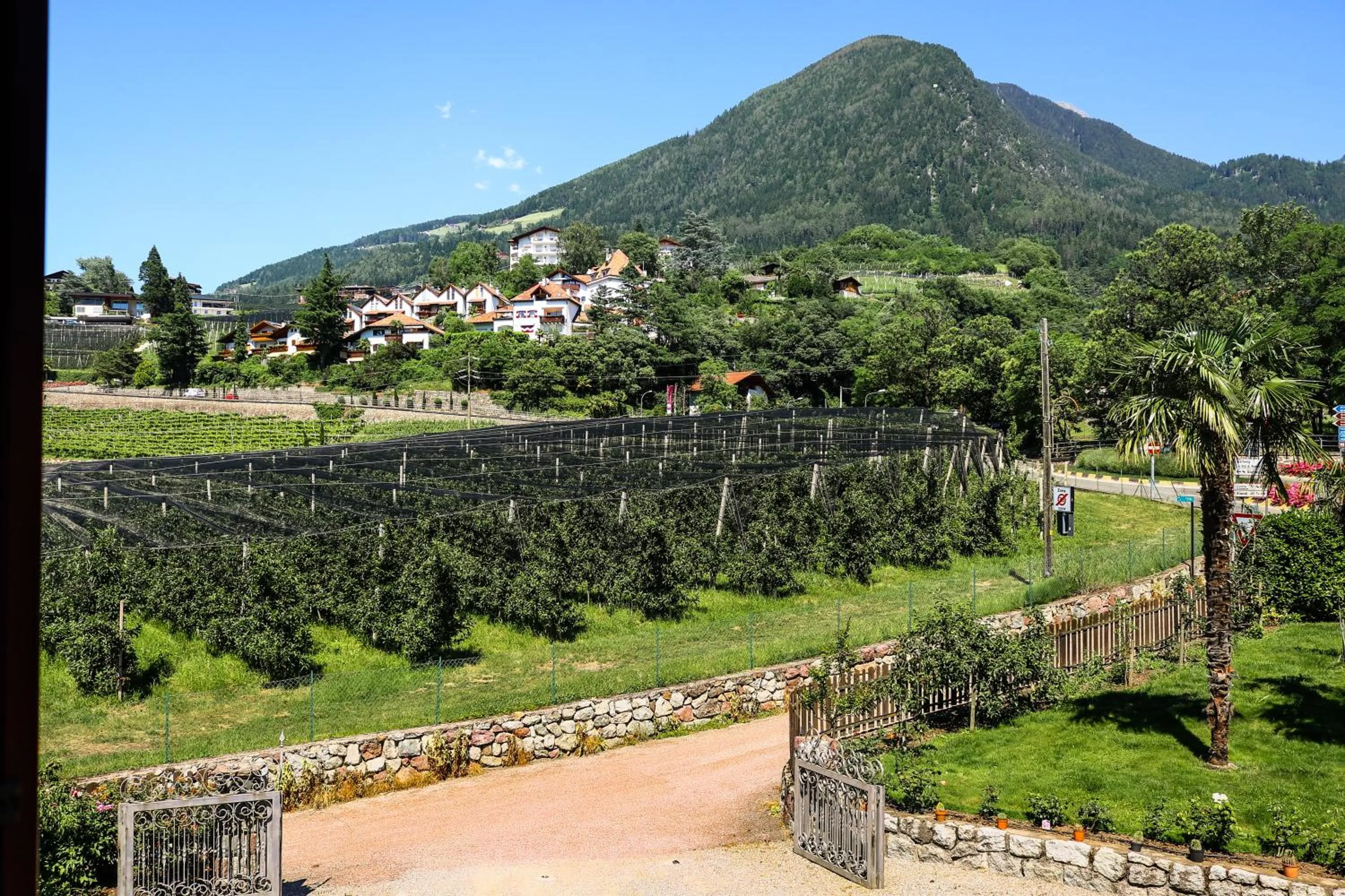 Mountain view in Guesthouse Pension Grafenstein
