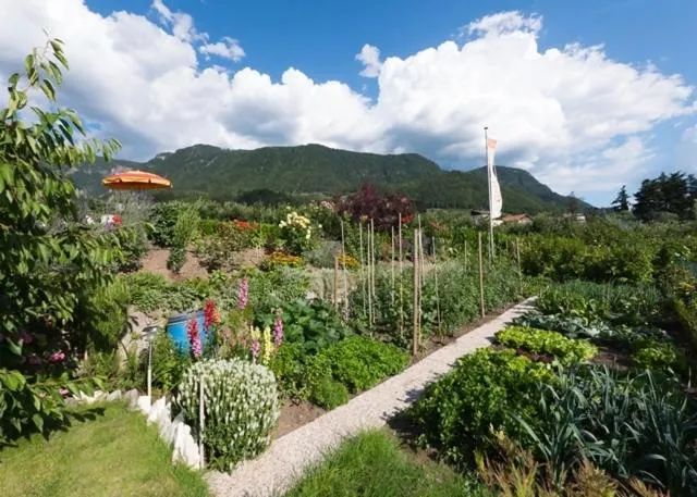 Garden in Guesthouse Pension Grafenstein