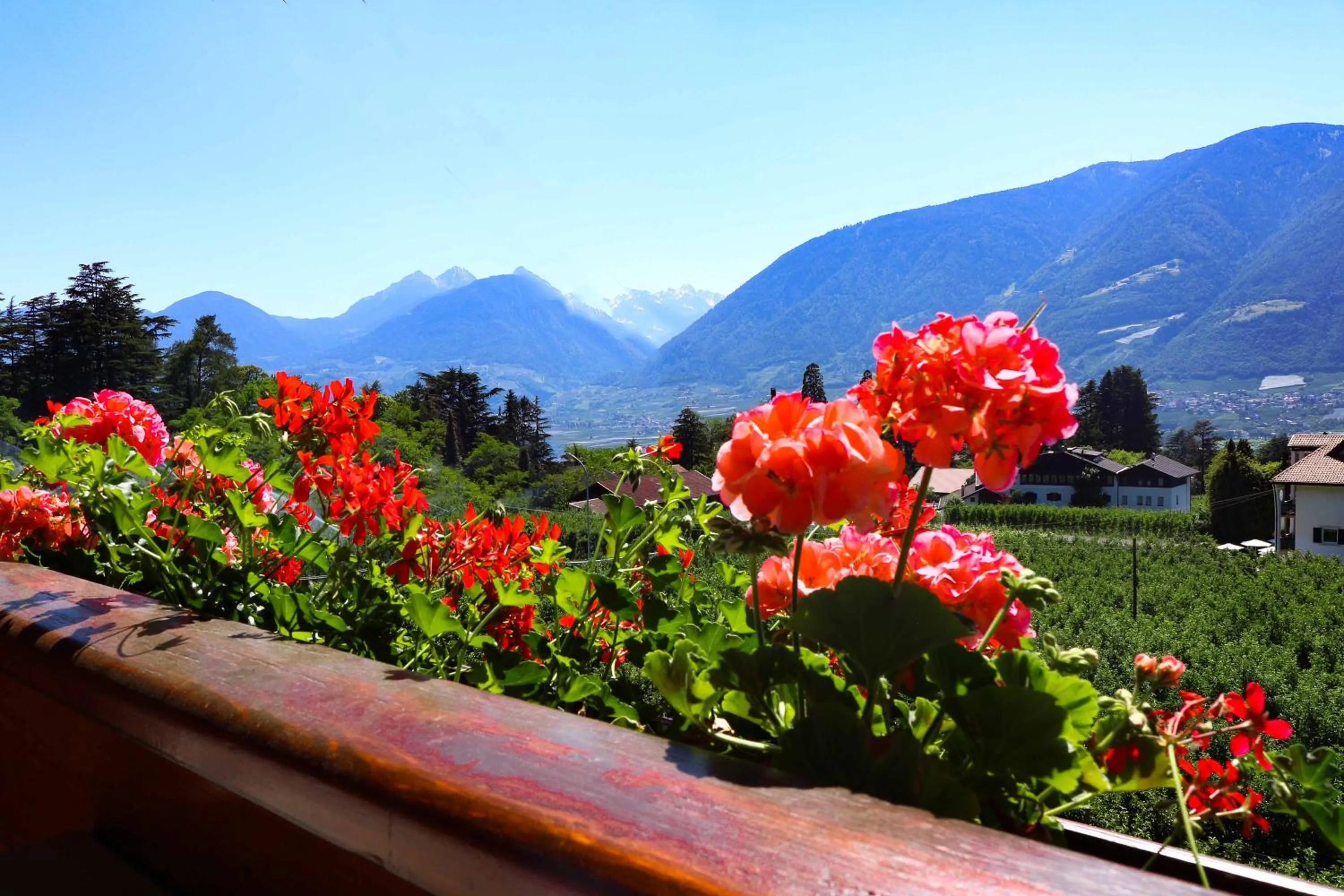 City view in Guesthouse Pension Grafenstein