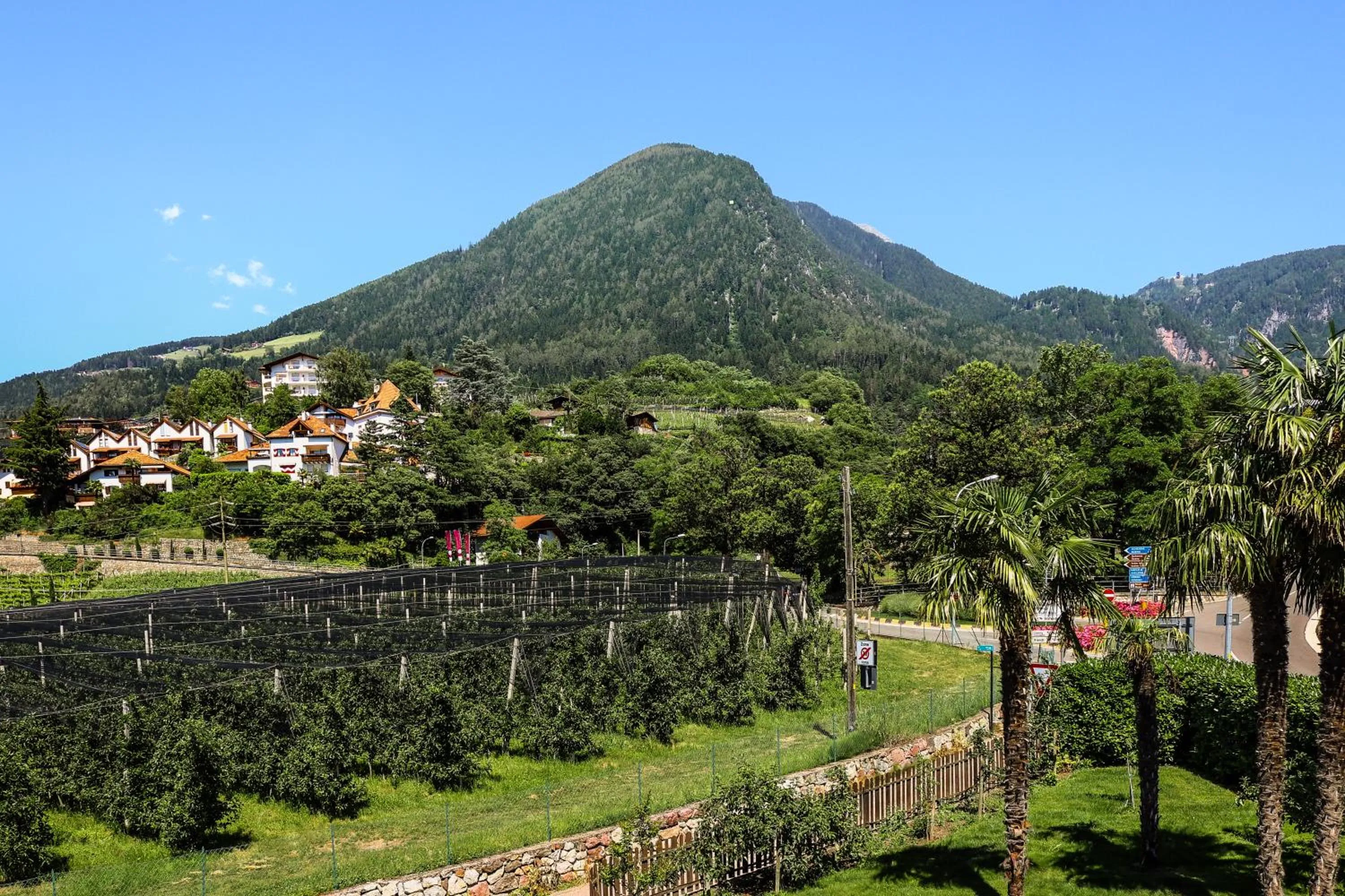 Mountain view in Guesthouse Pension Grafenstein