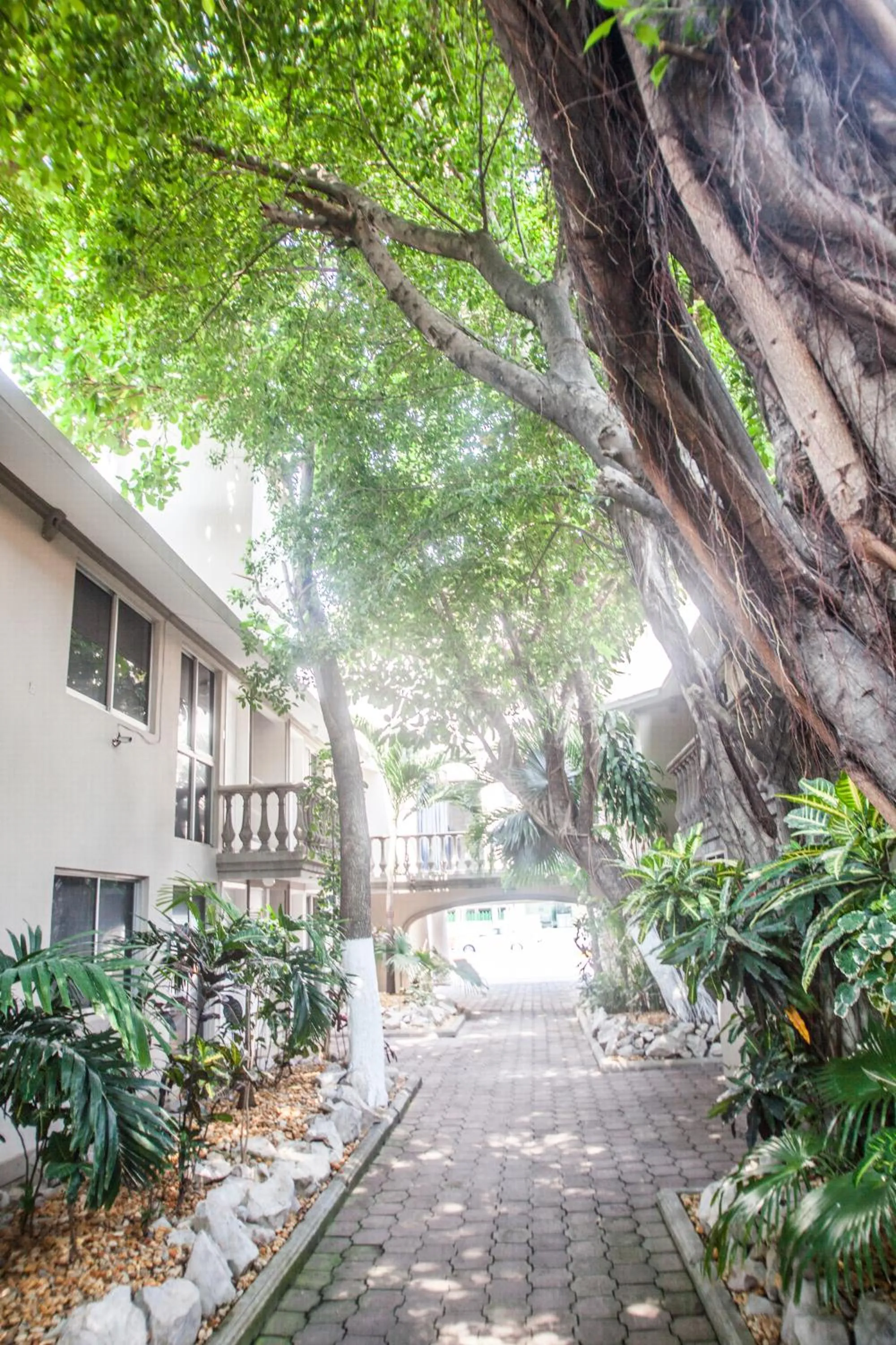 Suites Lafragua