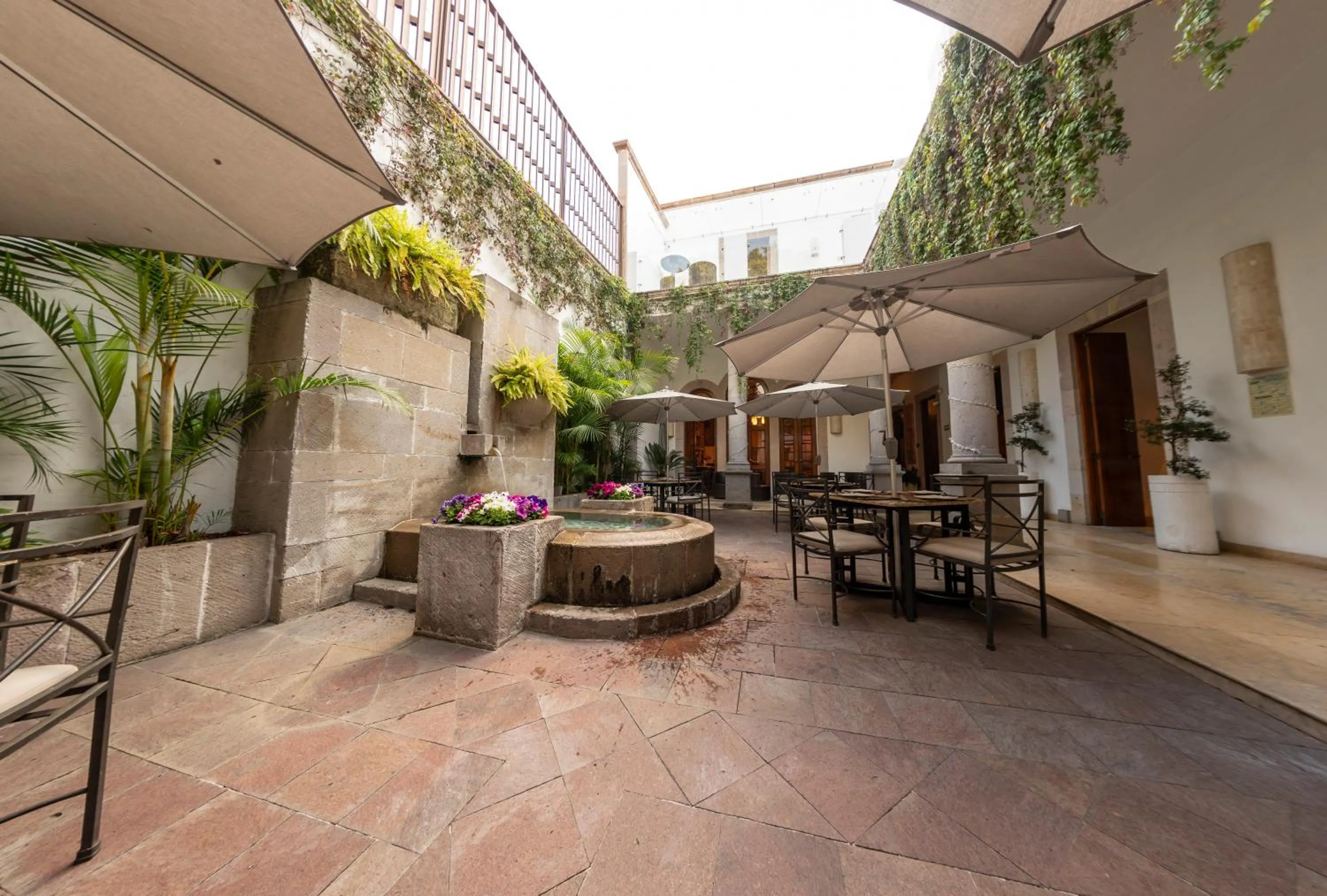 Patio in Hotel Boutique Casa San Diego