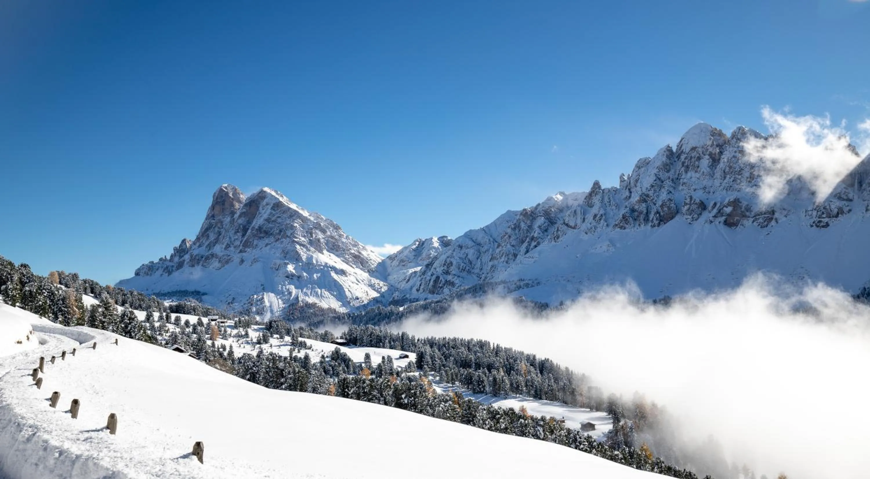 Winter in Residence Alpenrose