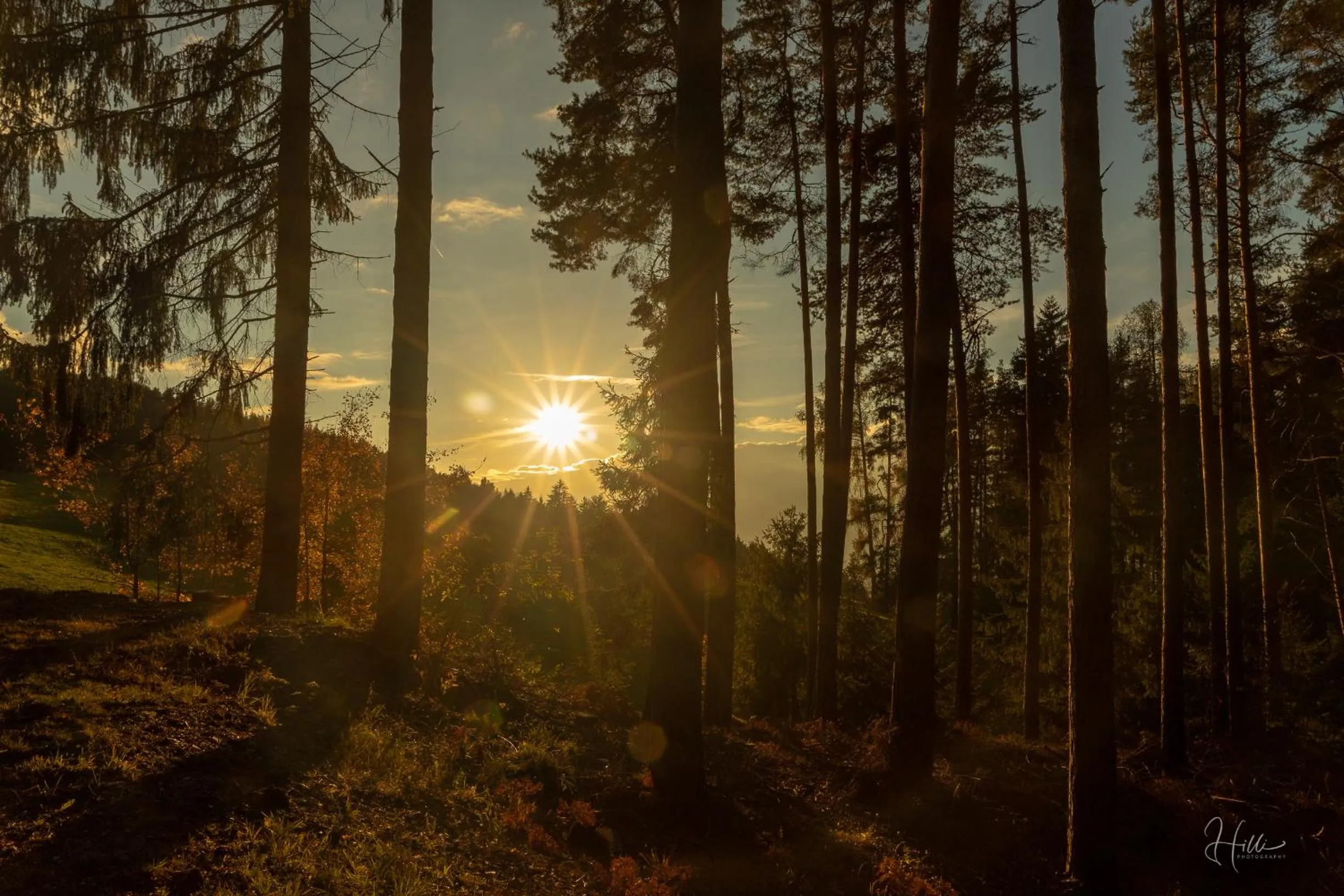 Autumn in Residence Alpenrose