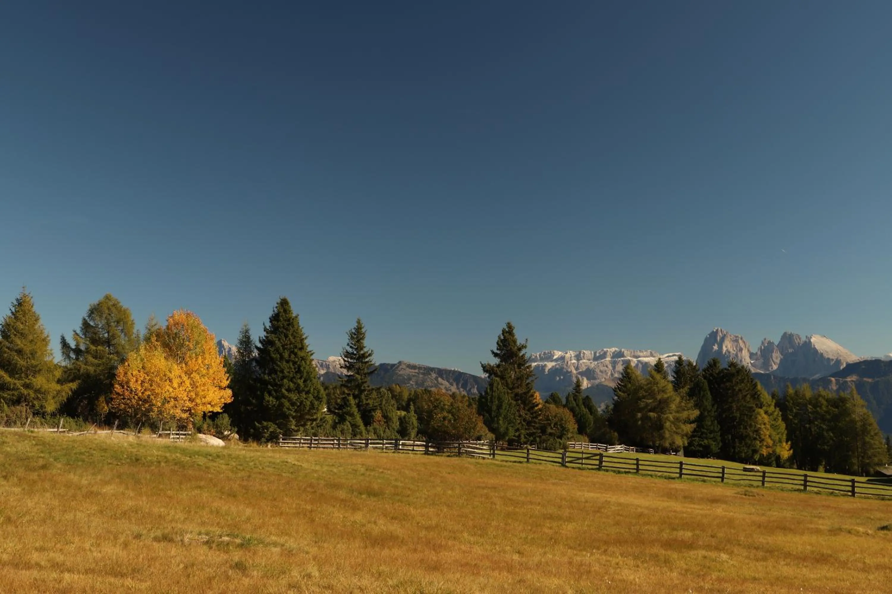 Natural landscape in Residence Alpenrose