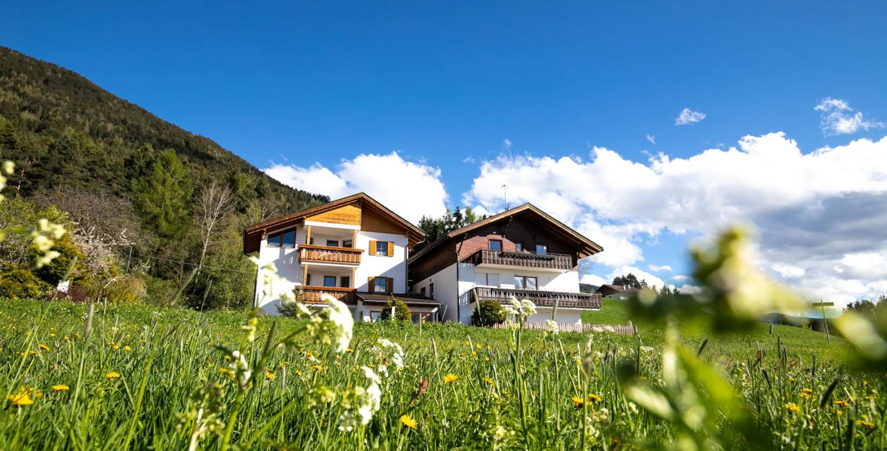 Property building in Residence Alpenrose