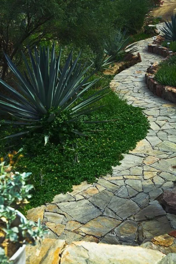 Day in Los Colibris Casitas