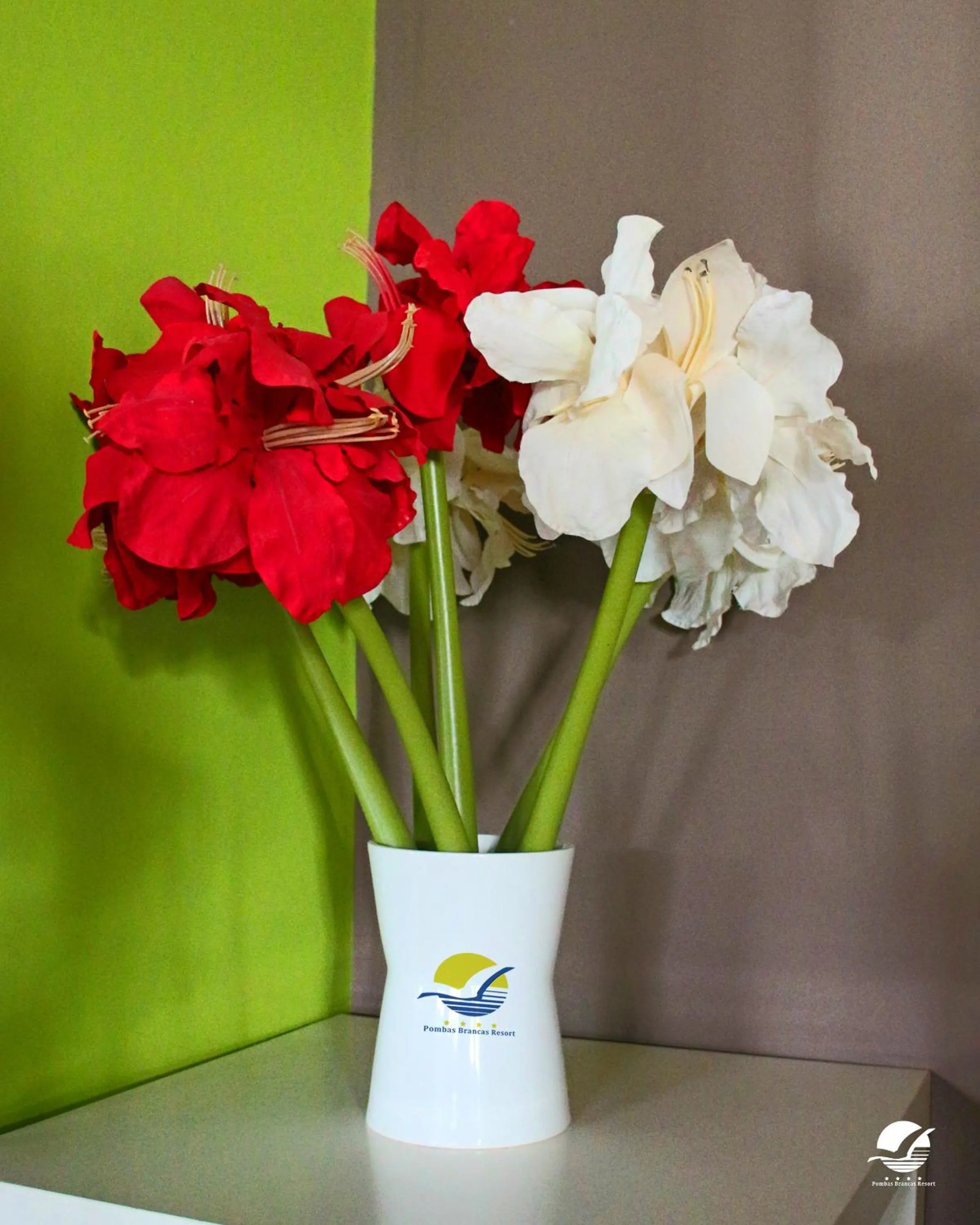 Living room in Pombas Brancas Resort