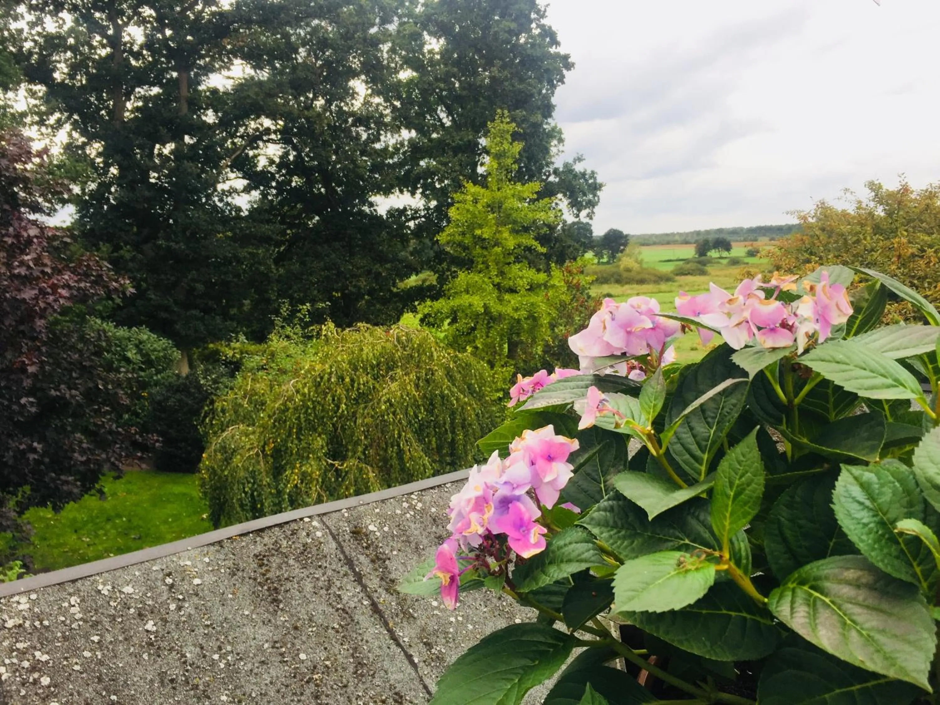 Garden in Hotel Wuelfers Gasthaus