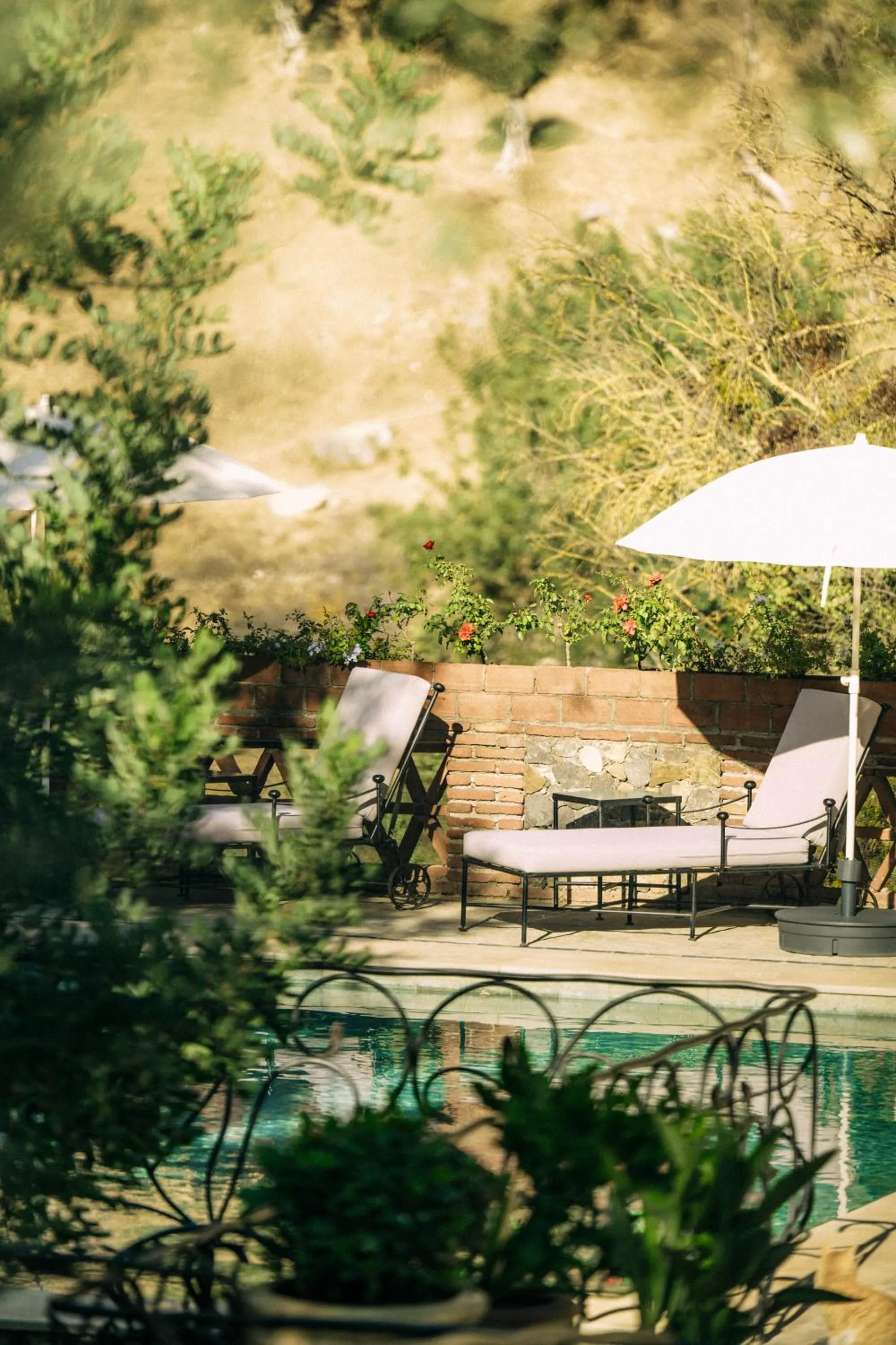 Spring in Dar Jasmine