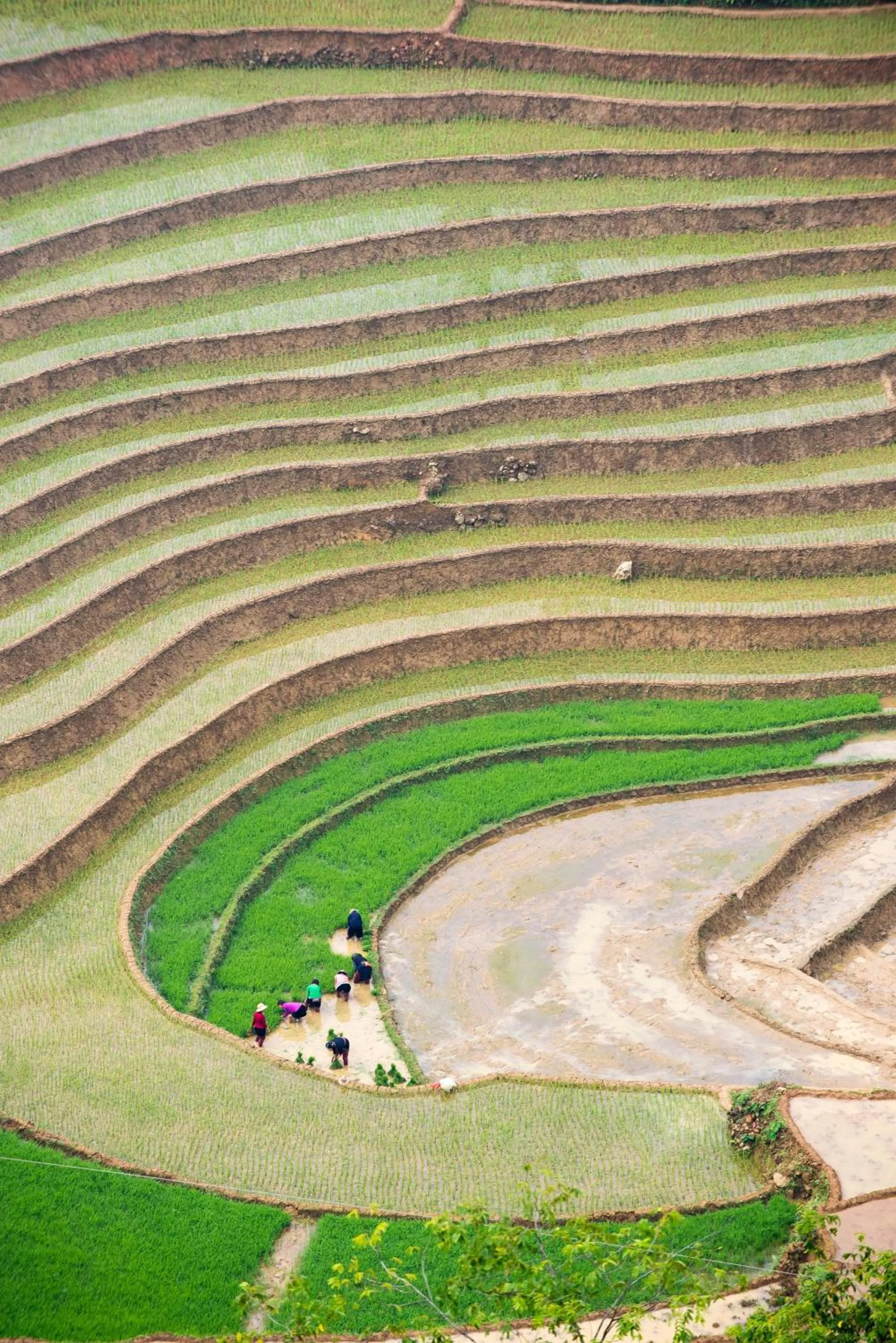 Neighbourhood in Topas Ecolodge