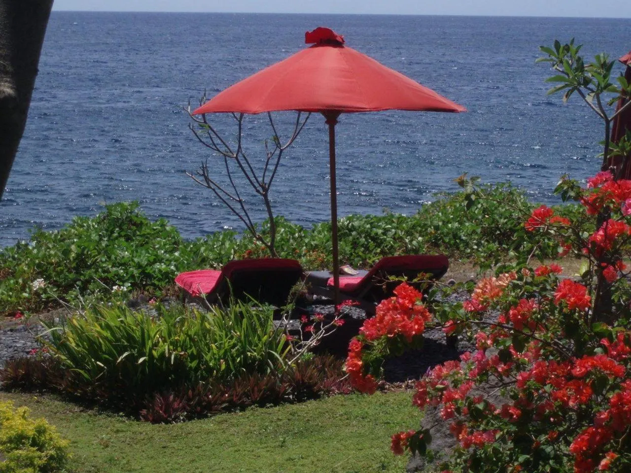 Garden in Toyabali-Resort, Boutique Beach Villas