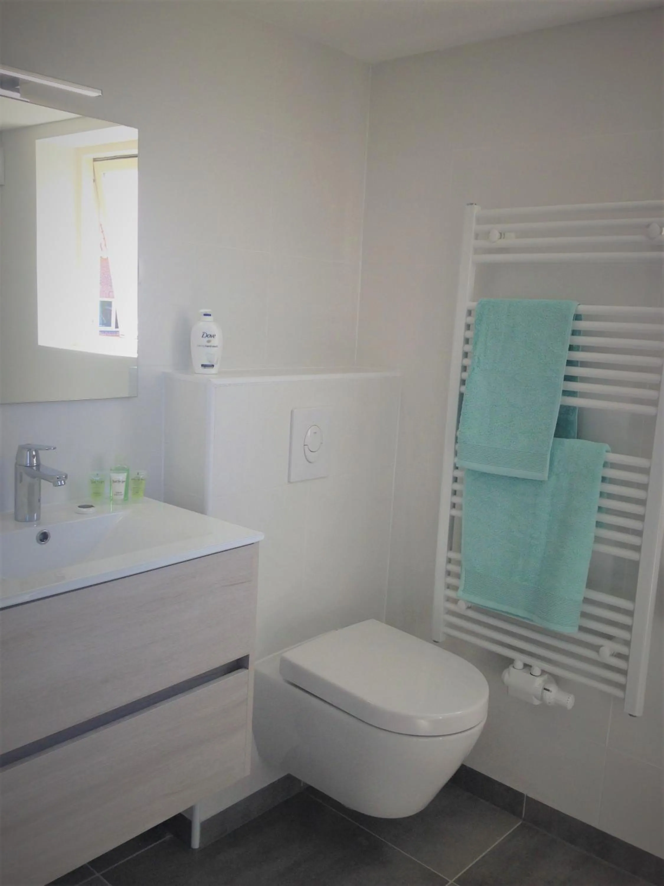 Bathroom in Westerschelde B&B