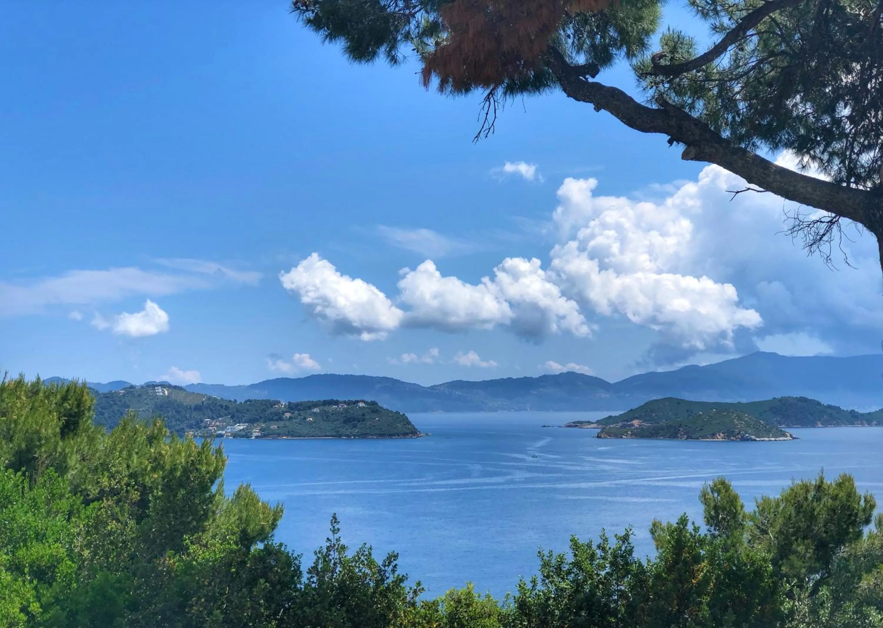 Property building in Azzurro