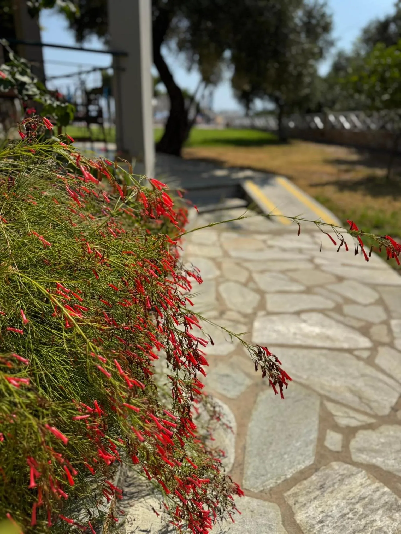 Garden in Azzurro