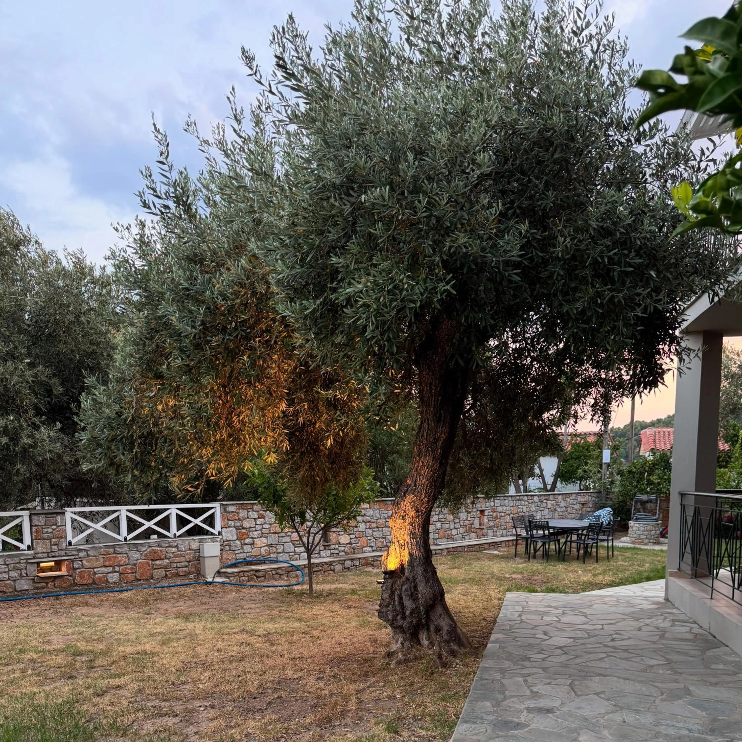 Garden in Azzurro