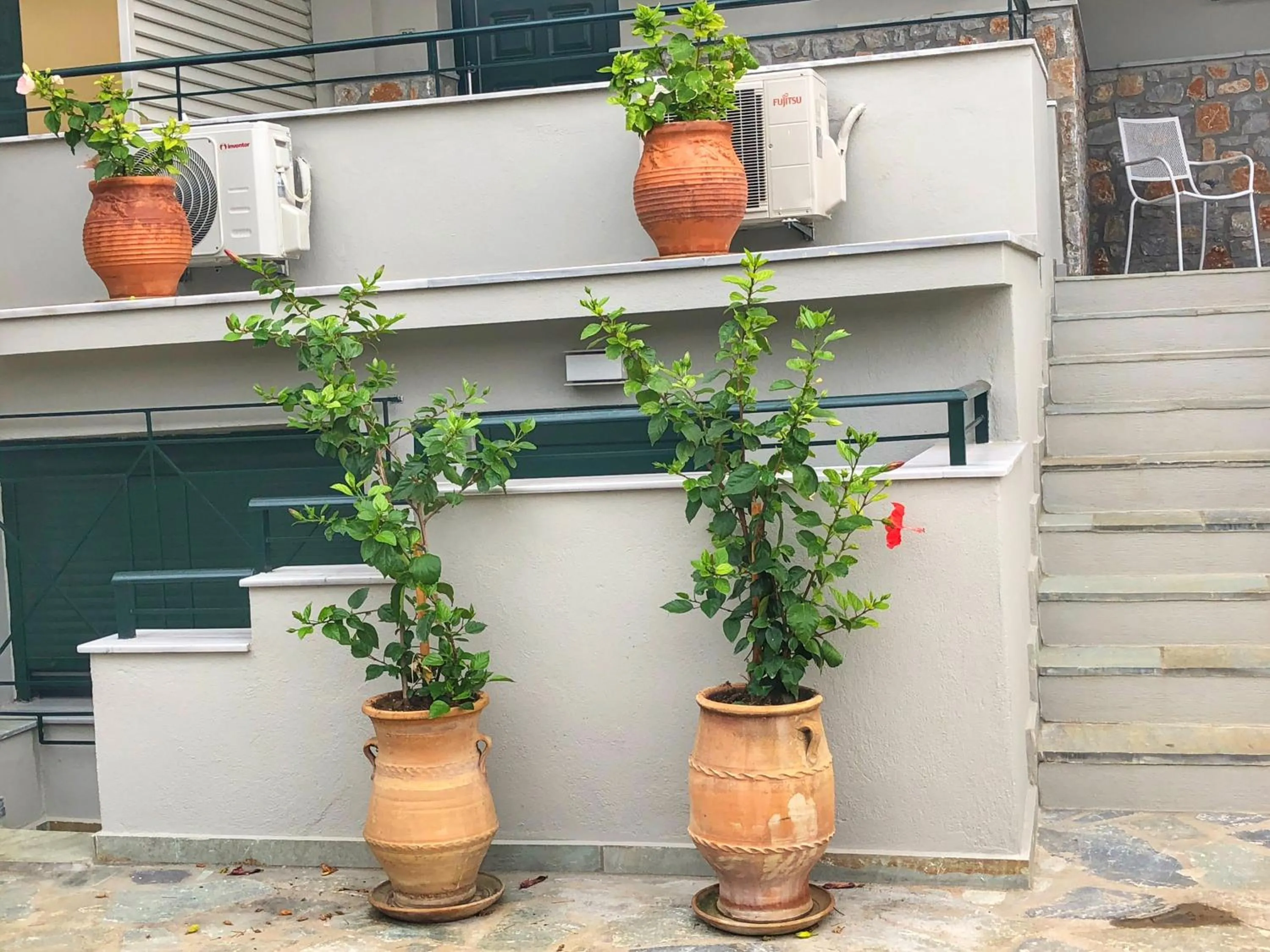 Property building in Azzurro