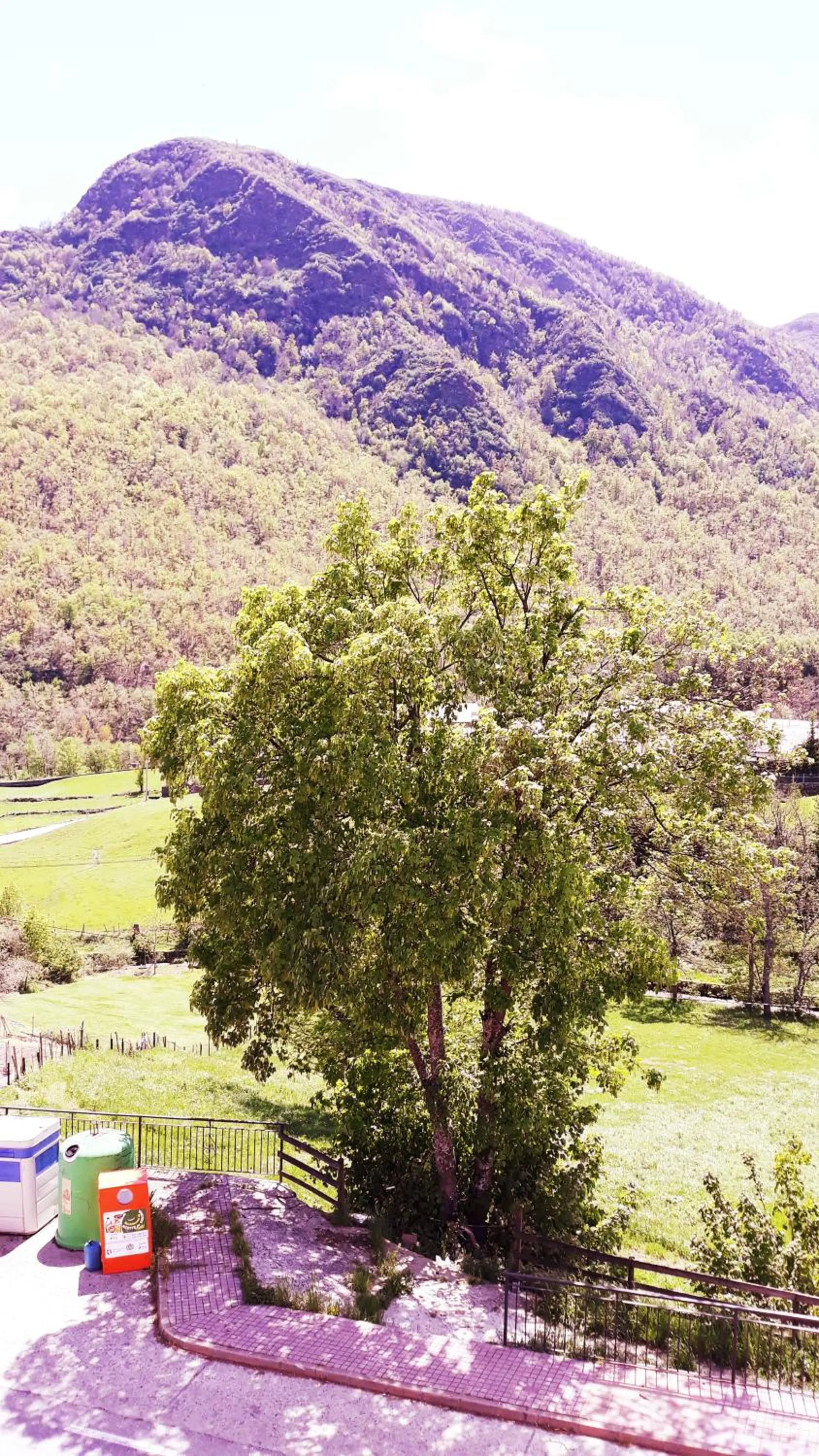 Mountain view in Apartahotel portal de leon