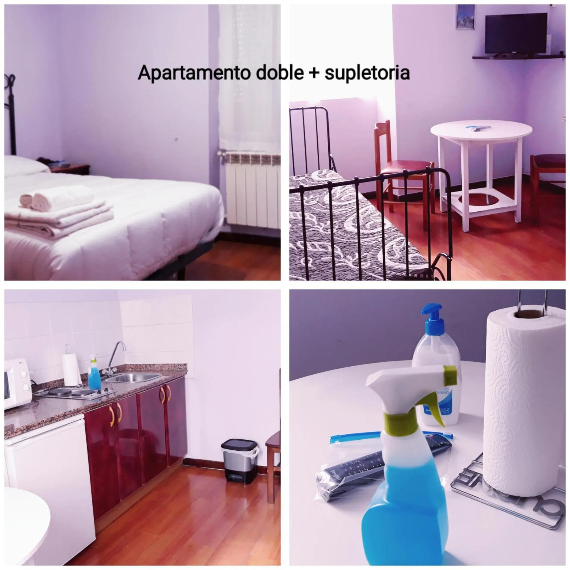 Apartment in Apartahotel portal de leon