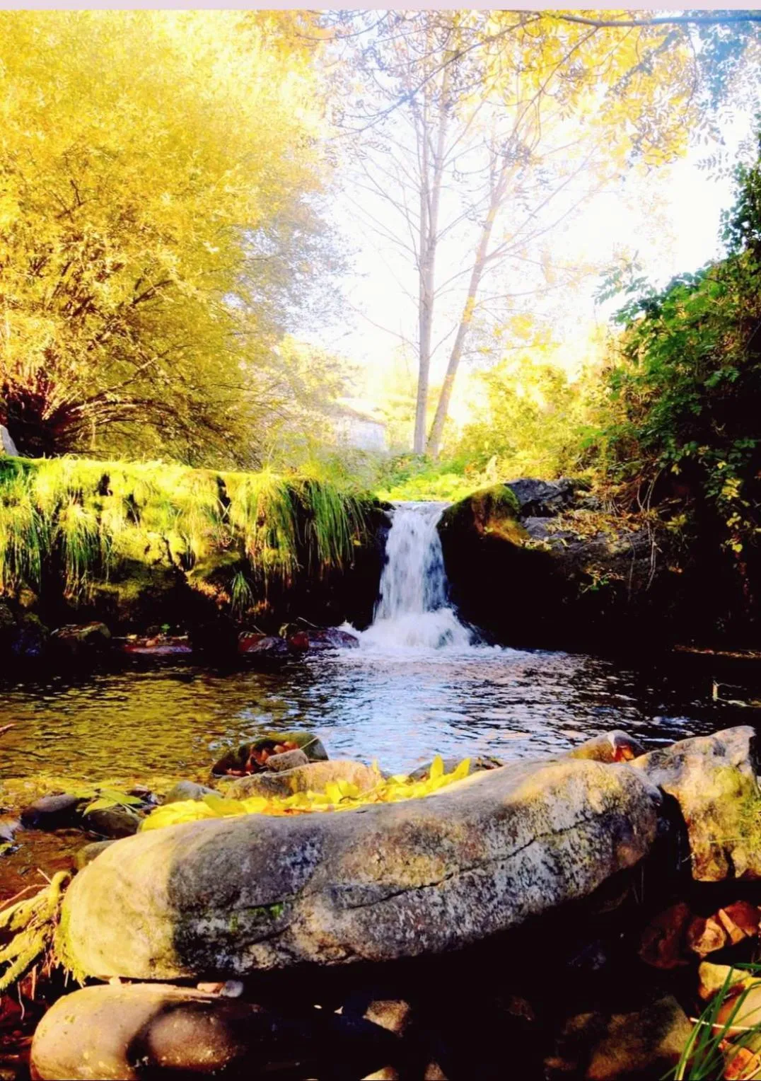 Apartahotel portal de leon