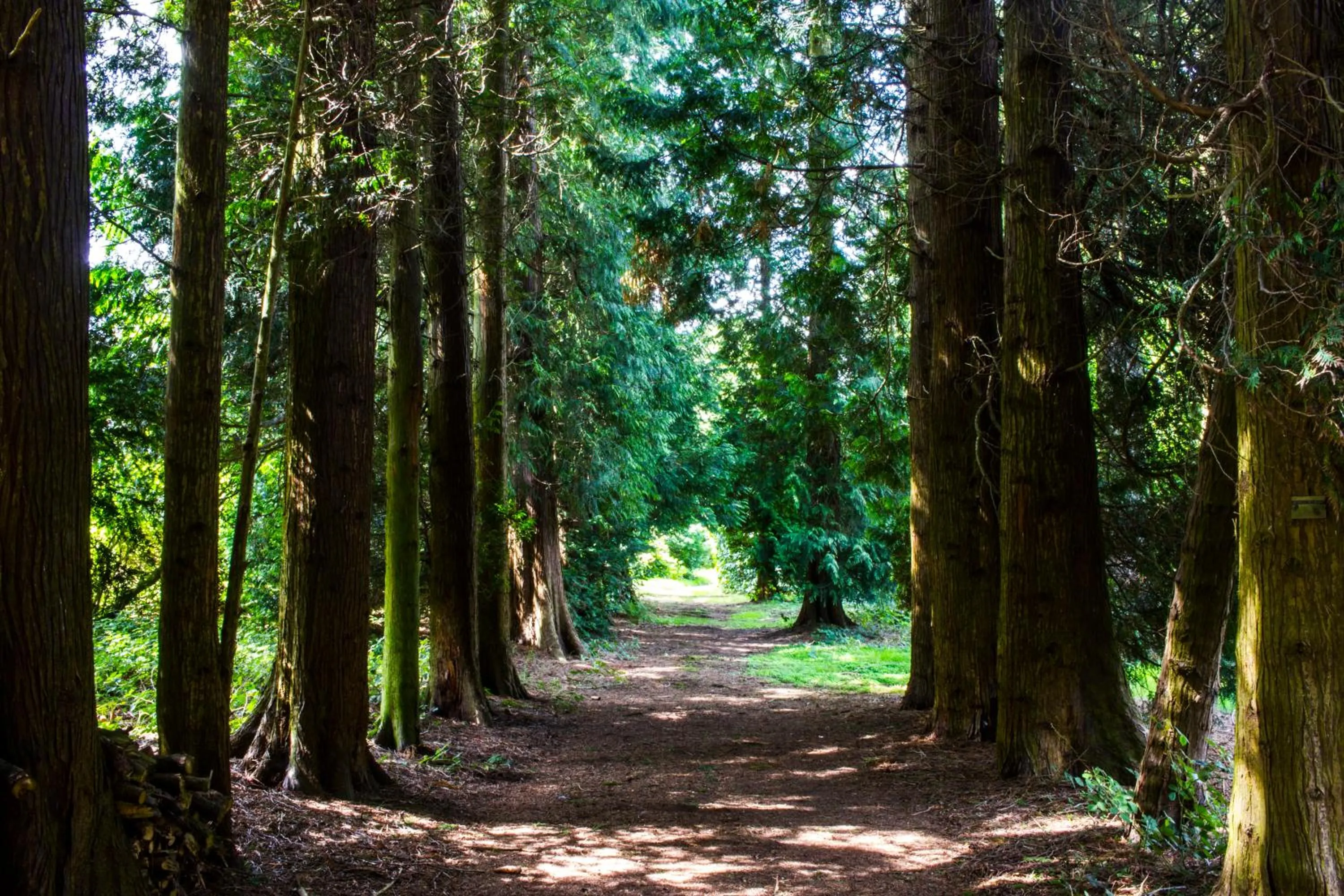 Garden in Hawkstone Hall Hotel & Gardens