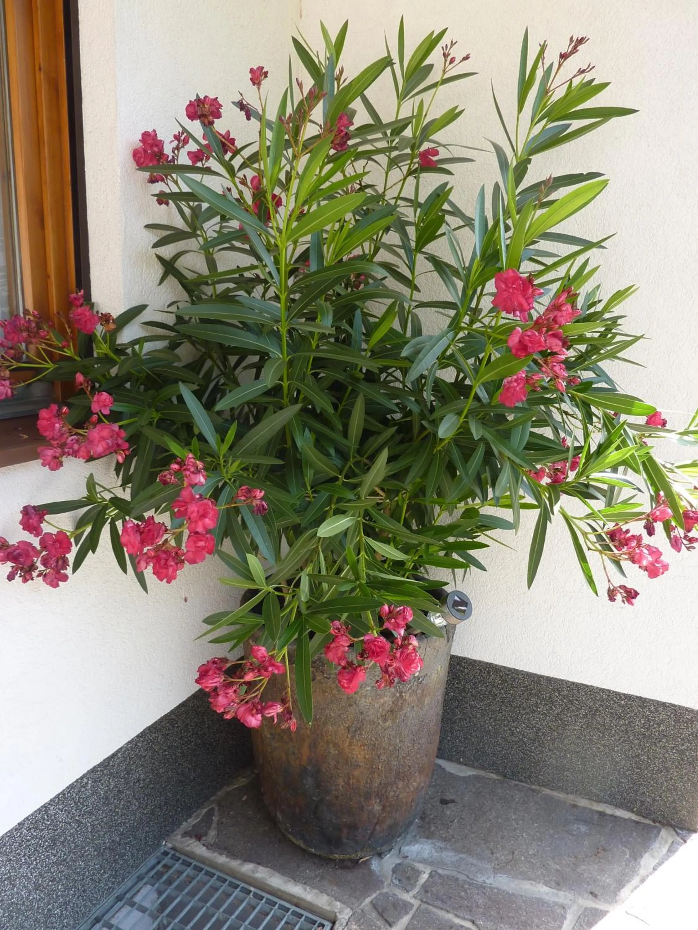 Other in Haus Früh