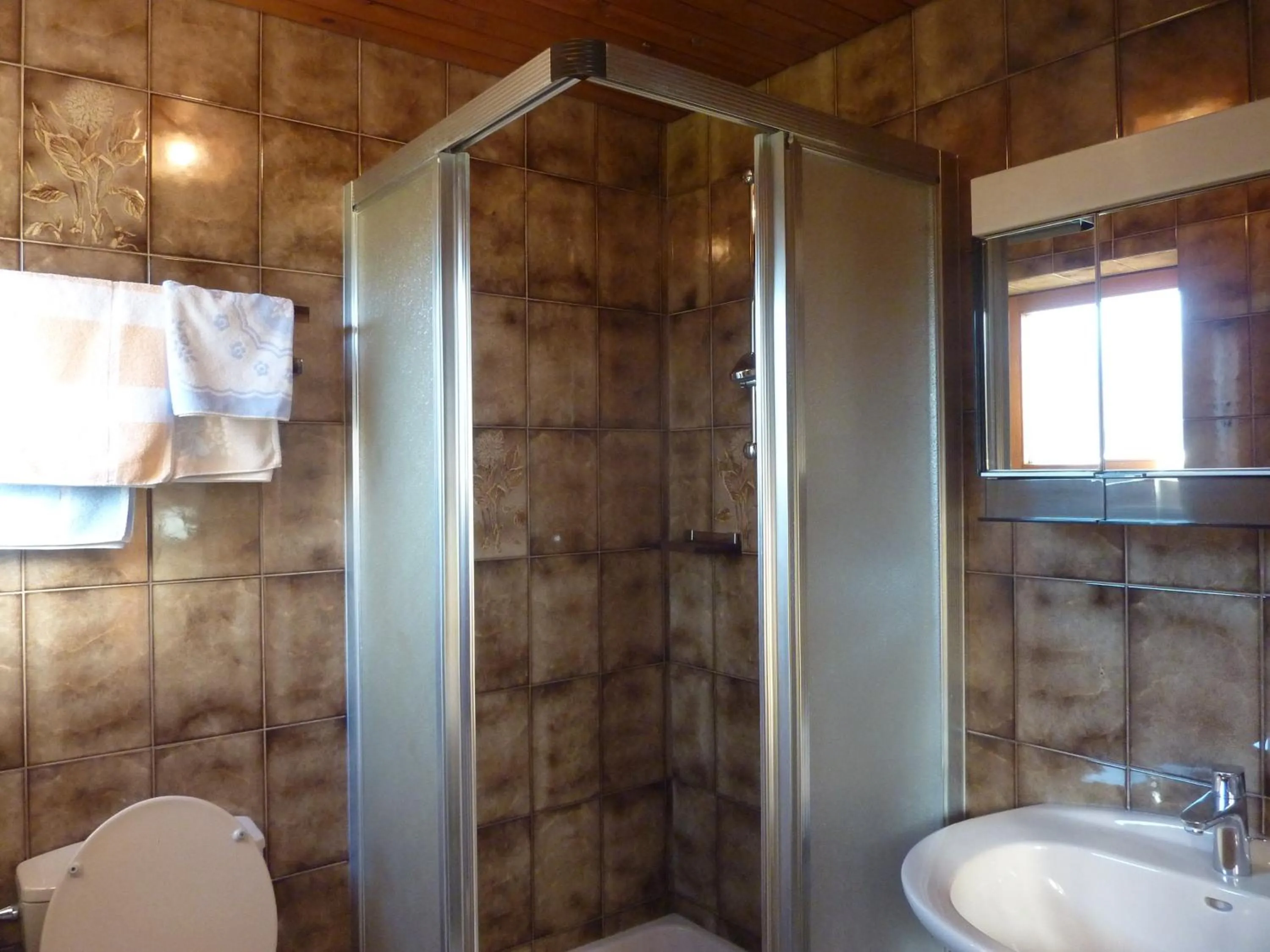 Shower in Haus Früh