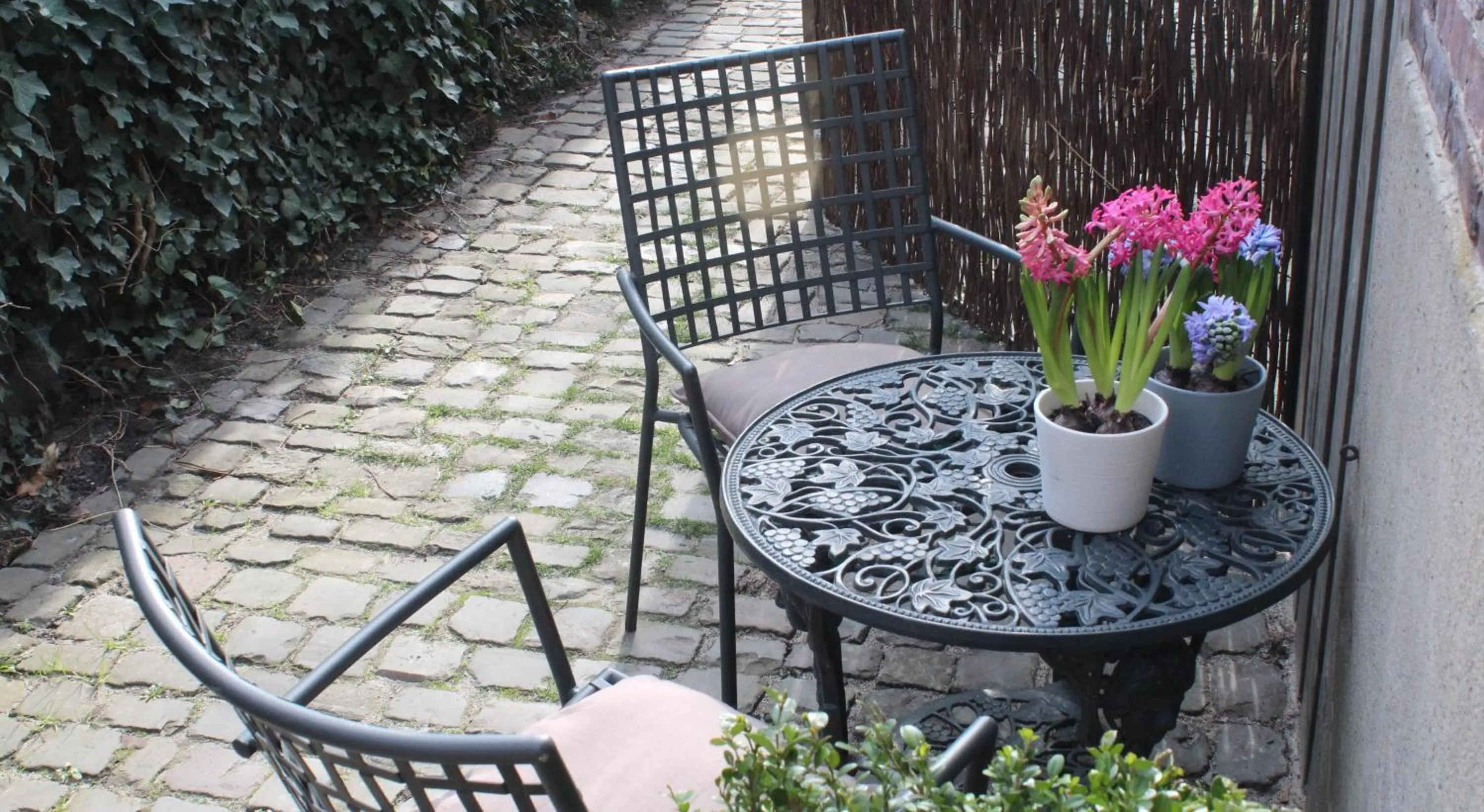 Garden in Hof, a luxury stay in the center of Eindhoven