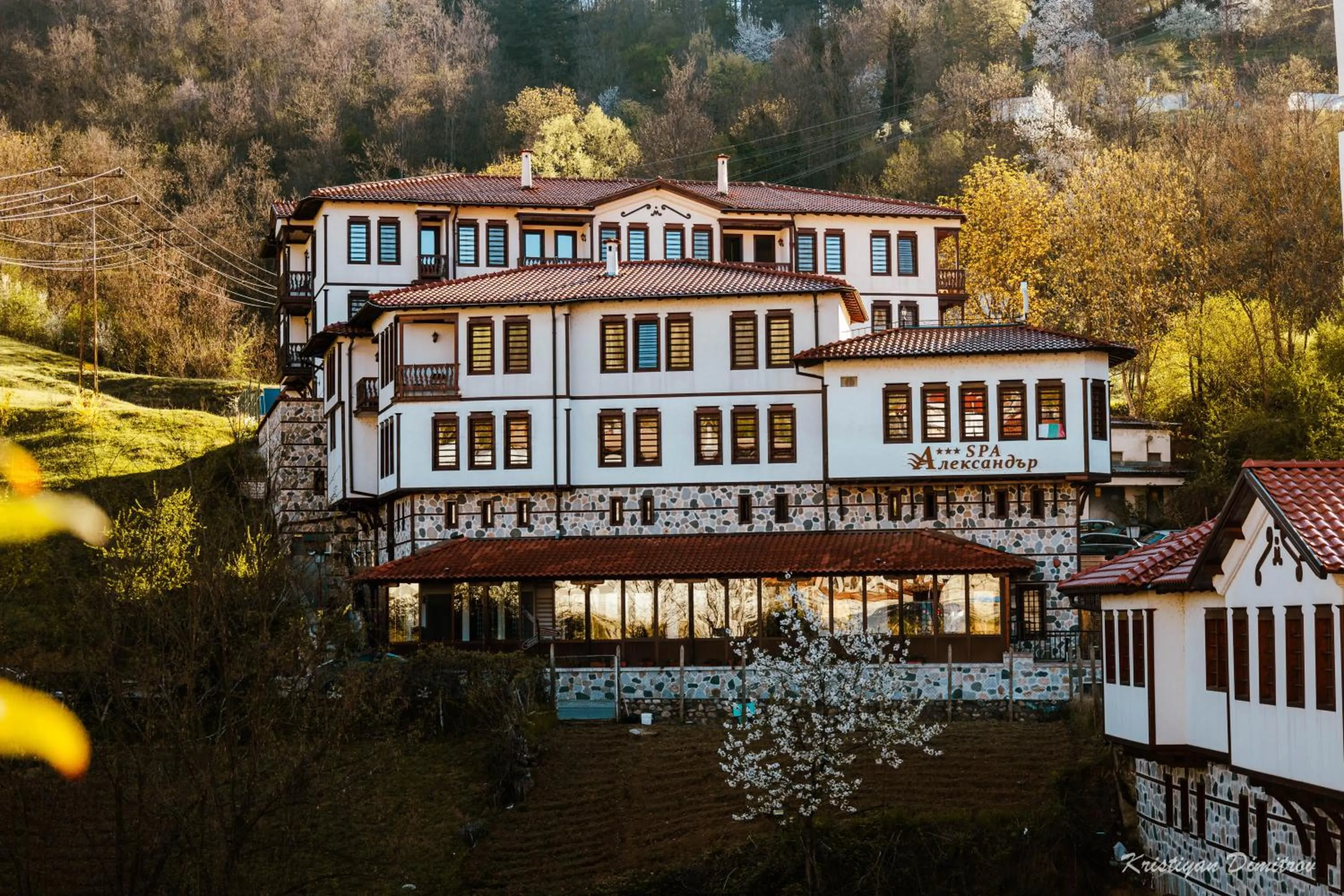 Spa Complex Aleksandar