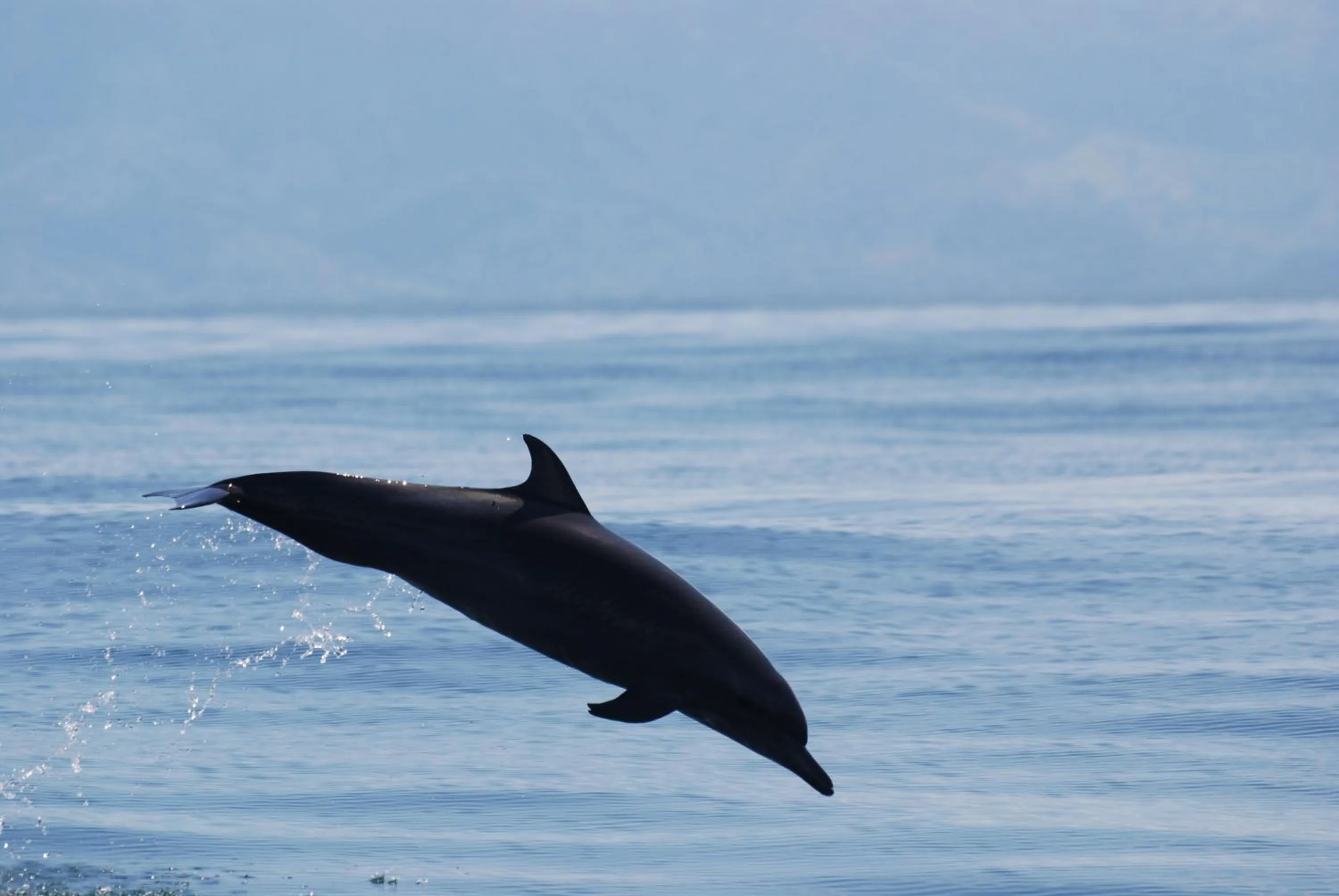 Day in Hotel El Mono Feliz