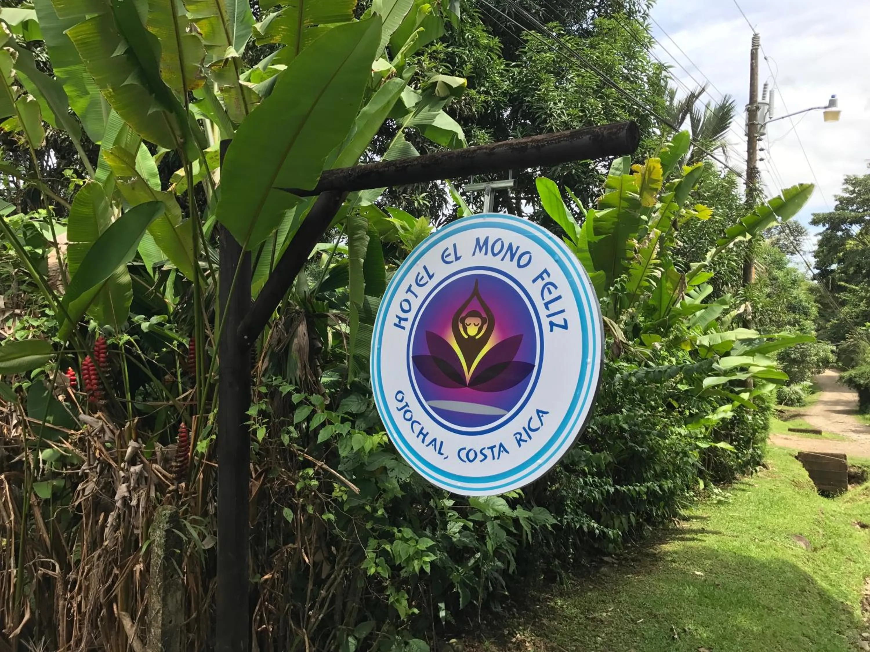 Facade/entrance in Hotel El Mono Feliz
