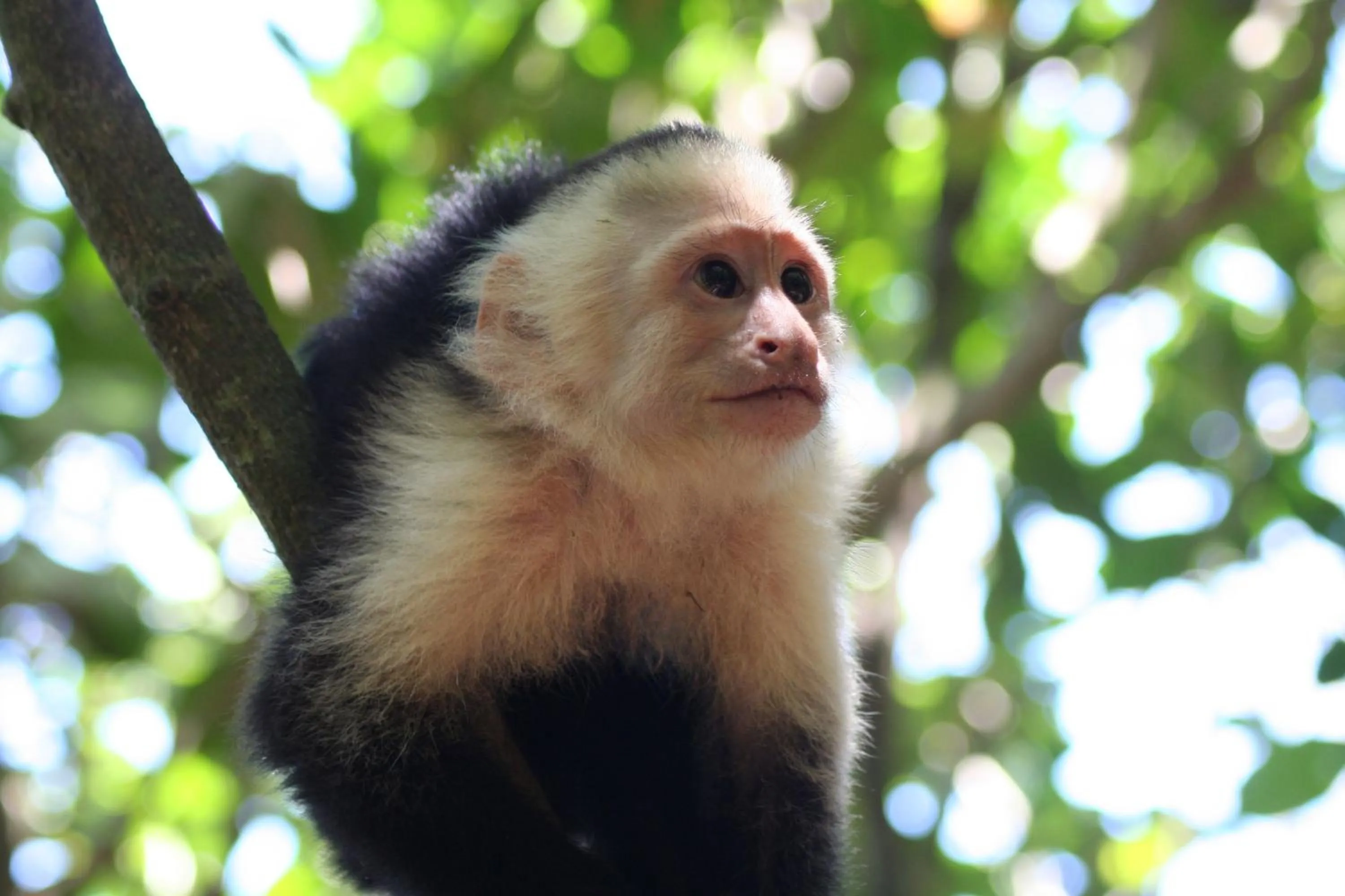 Garden in Hotel El Mono Feliz