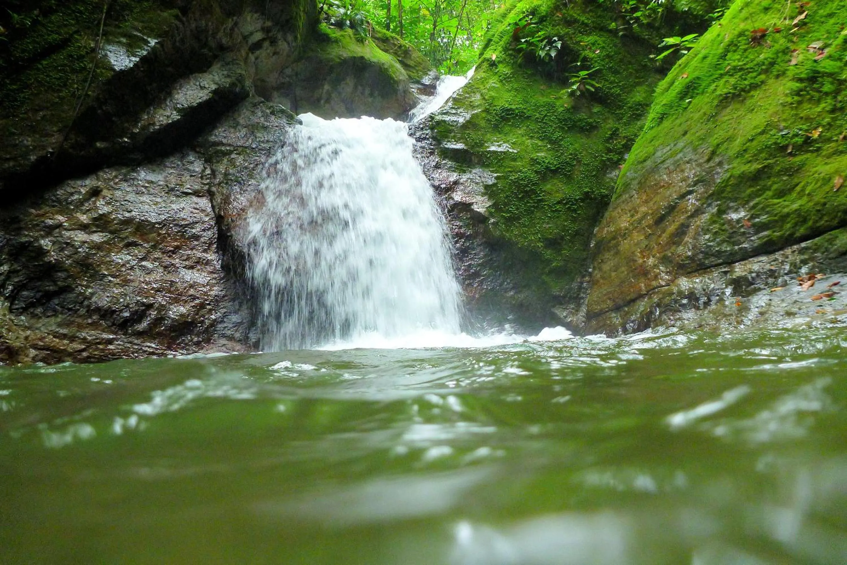 Hiking in Hotel El Mono Feliz