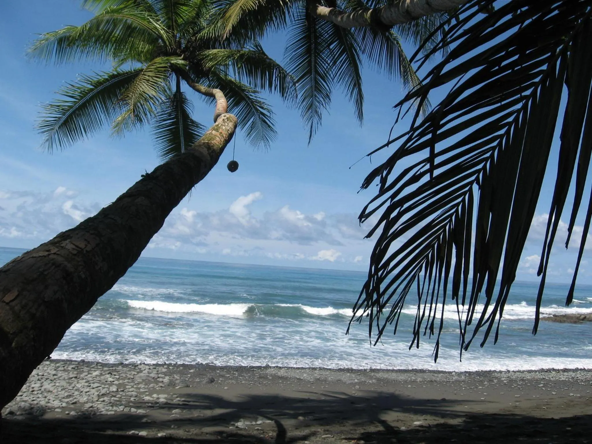 Nearby landmark in Hotel El Mono Feliz