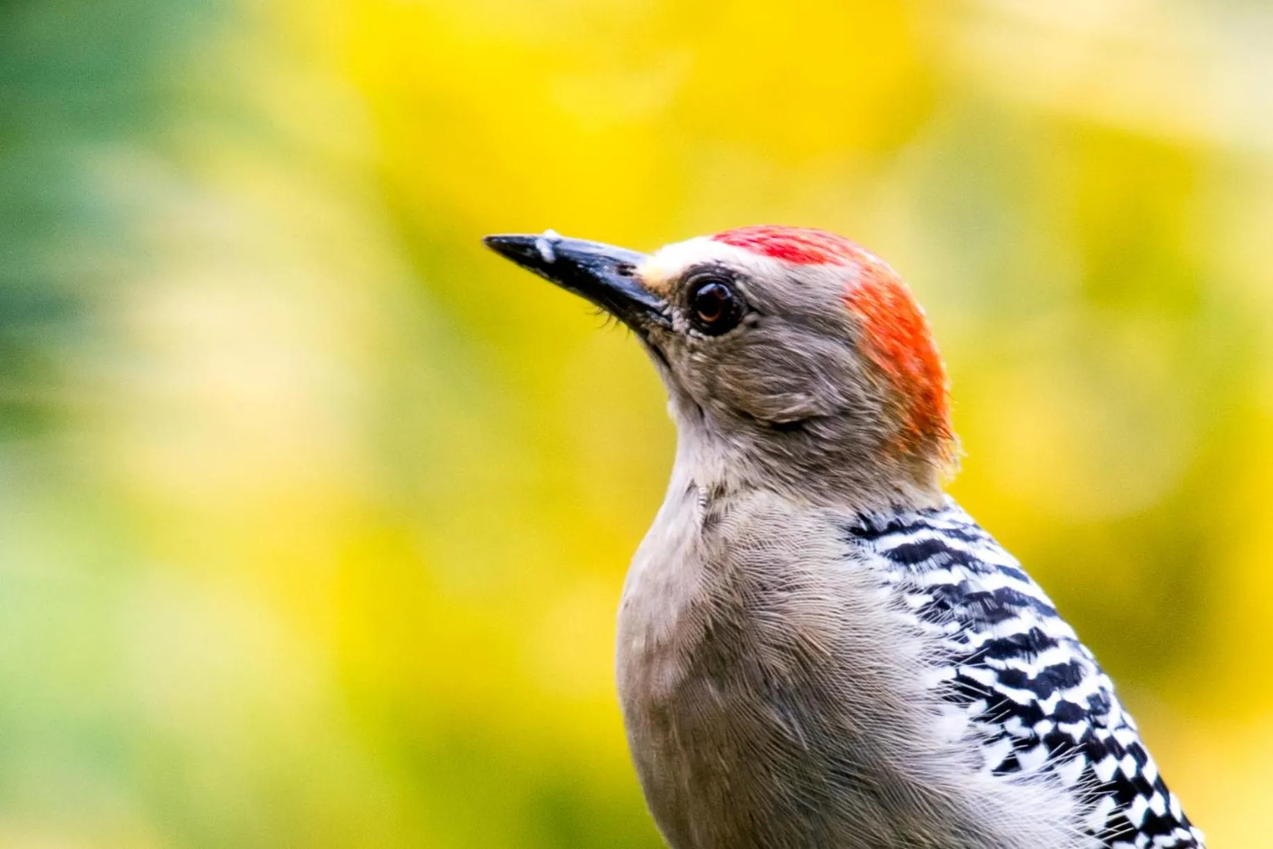 Garden in Hotel El Mono Feliz