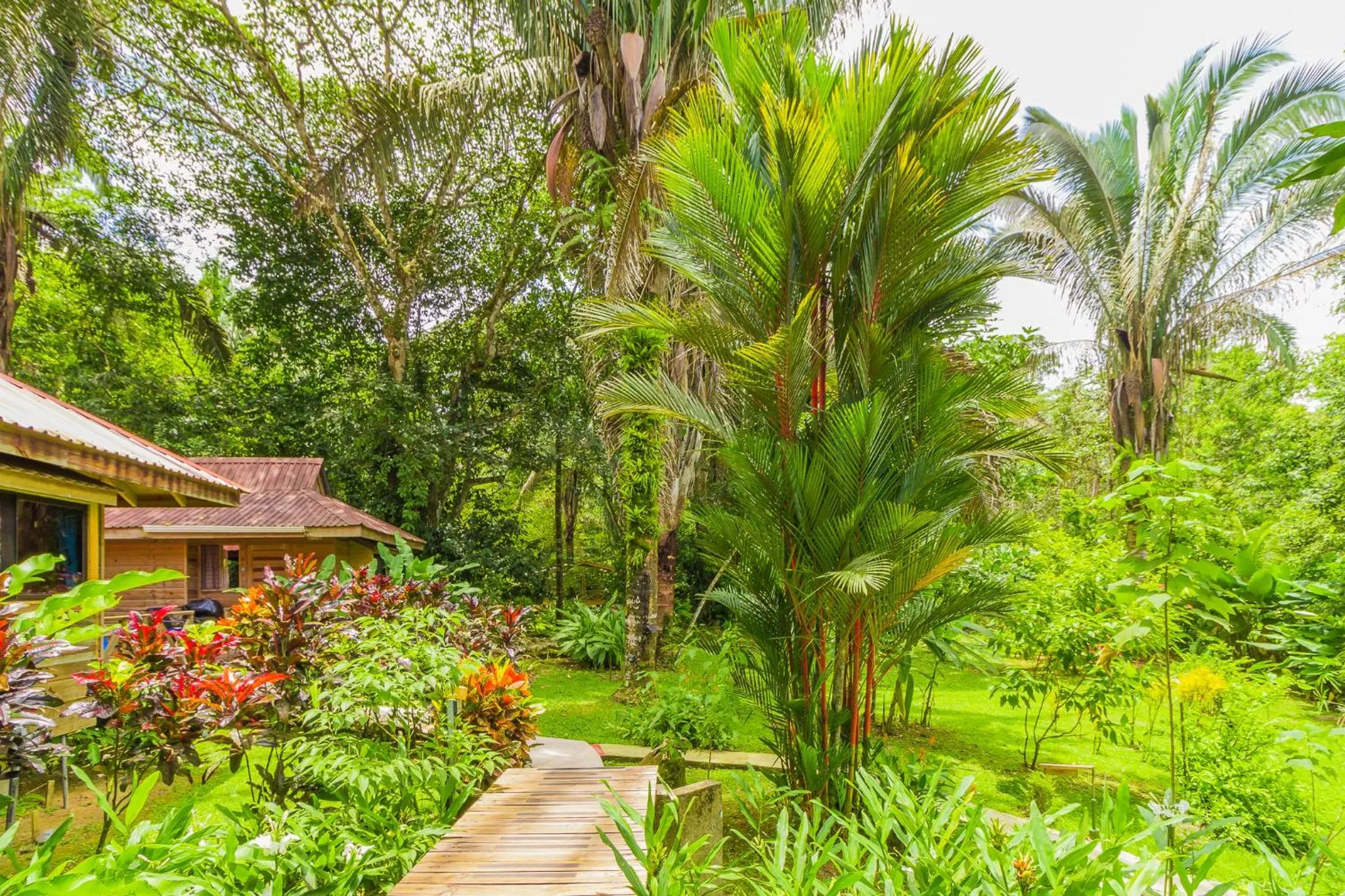 Garden in Hotel El Mono Feliz