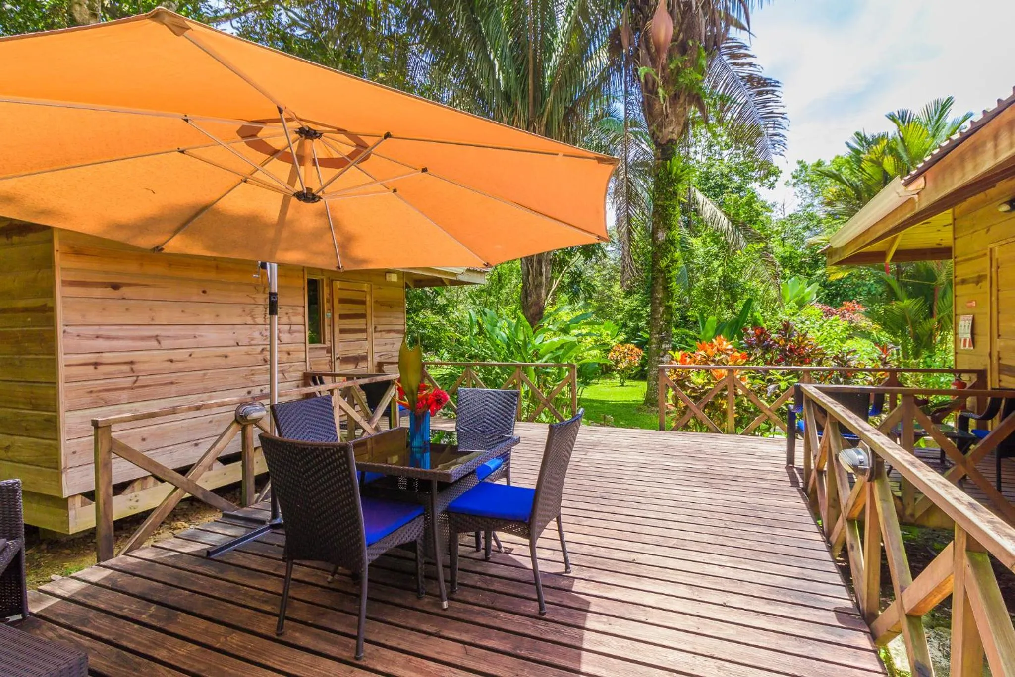 Patio in Hotel El Mono Feliz