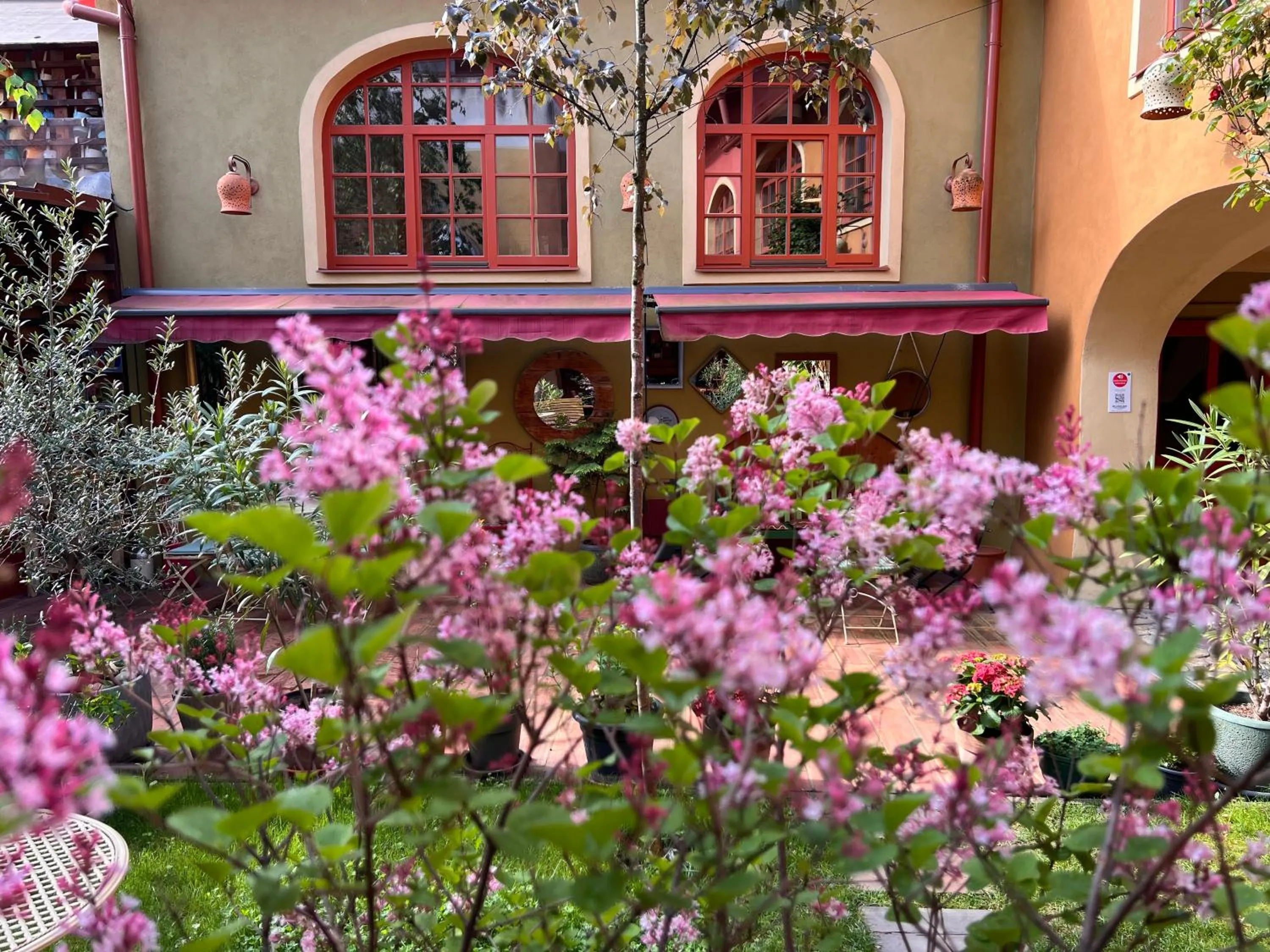 Garden in MuziKafe - Home of Culture