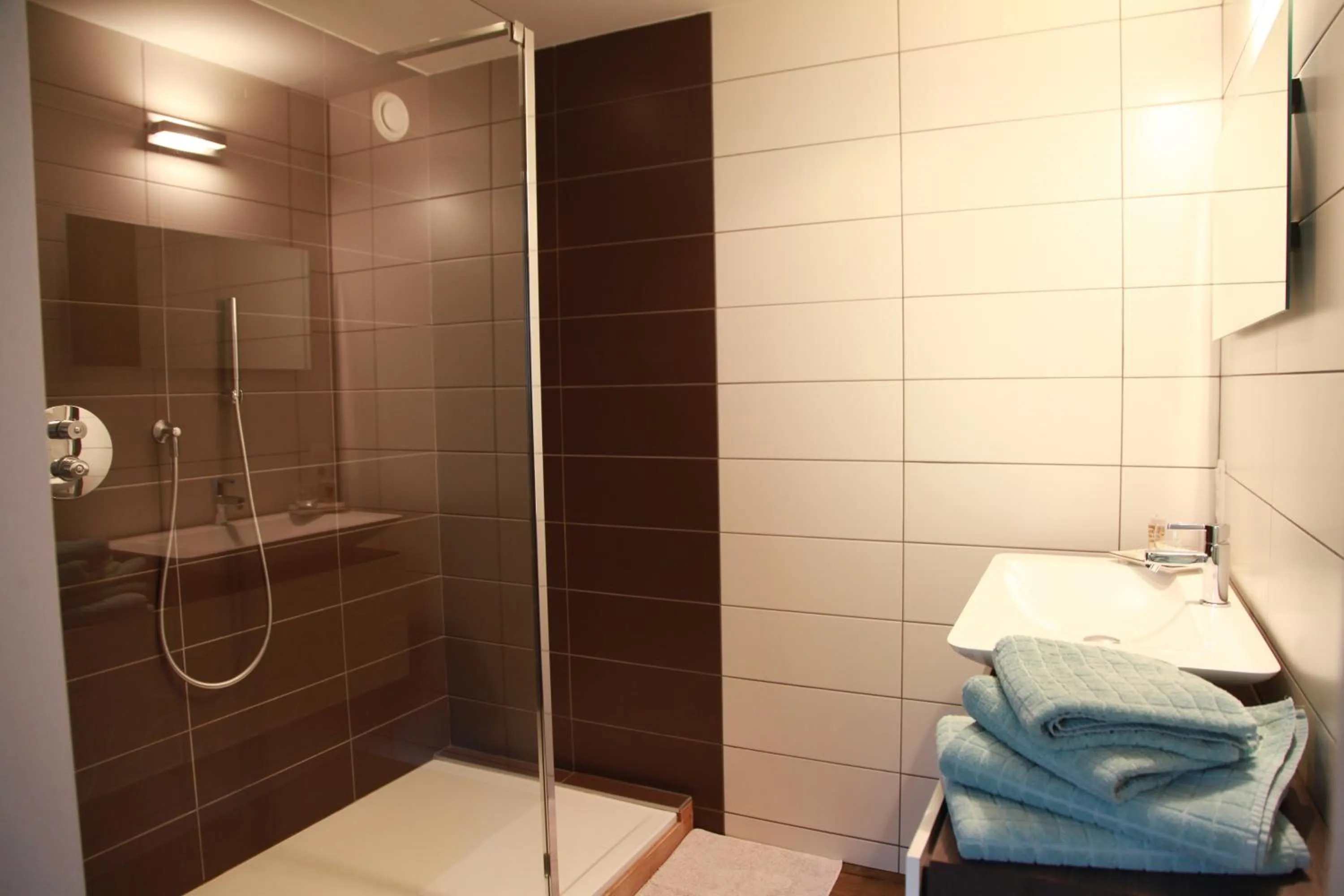 Shower in B&B Les Oiseaux de Passage