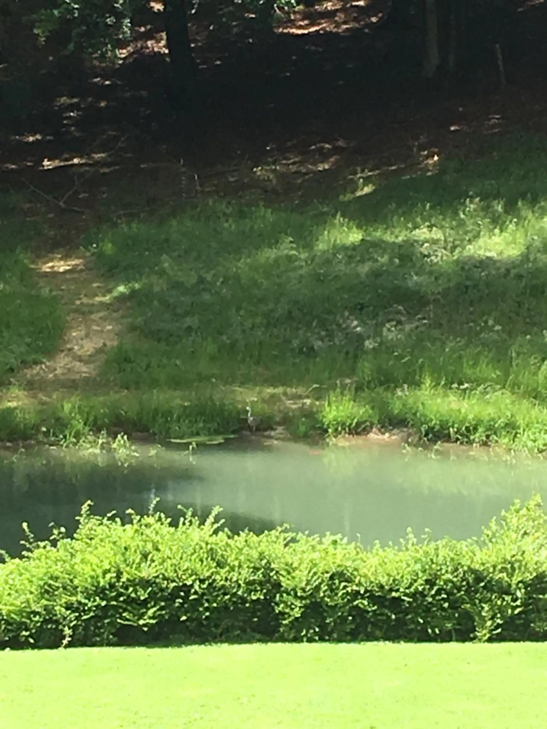 Natural landscape in B&B Les Oiseaux de Passage