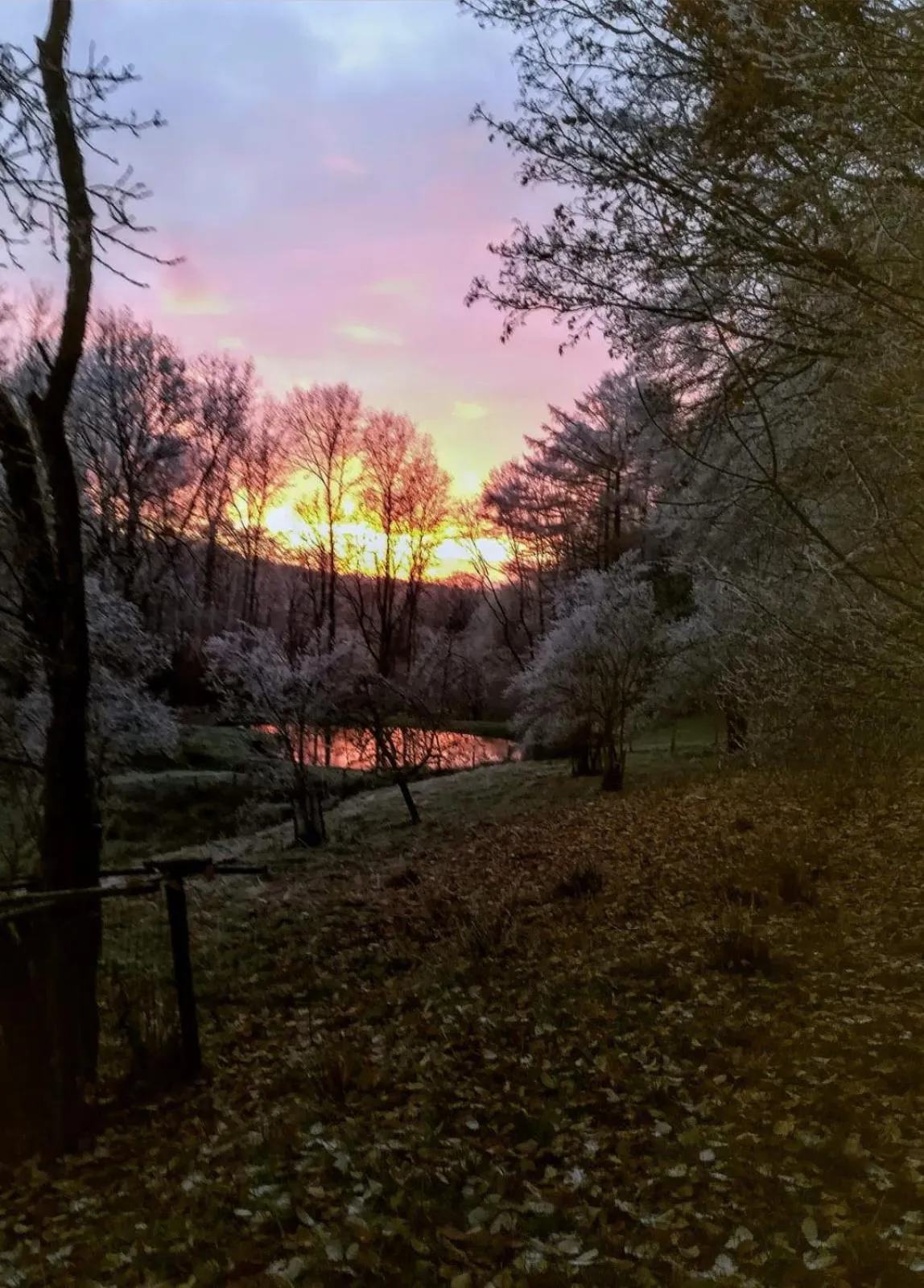 River view in B&B Les Oiseaux de Passage