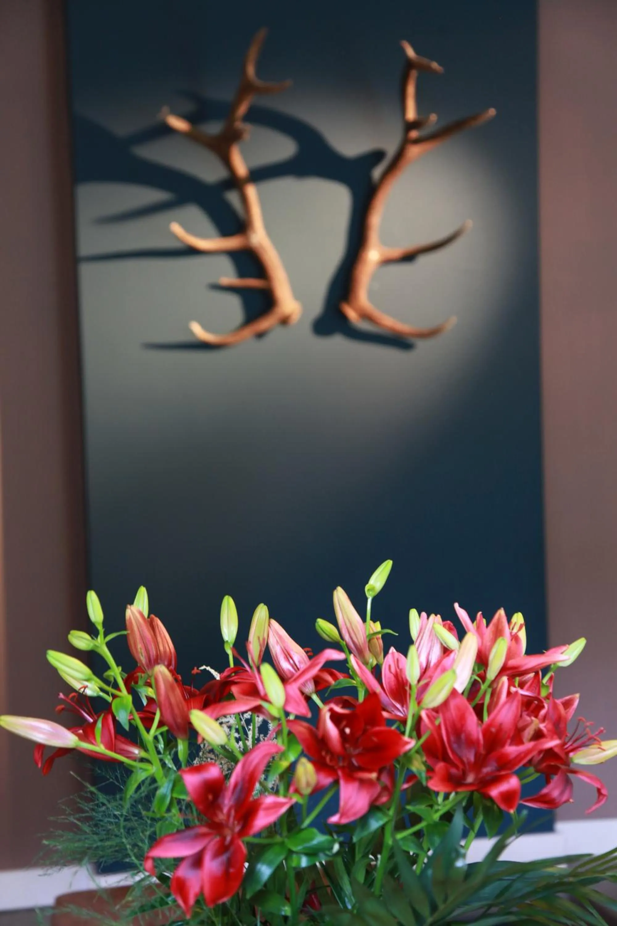 Decorative detail in B&B Les Oiseaux de Passage