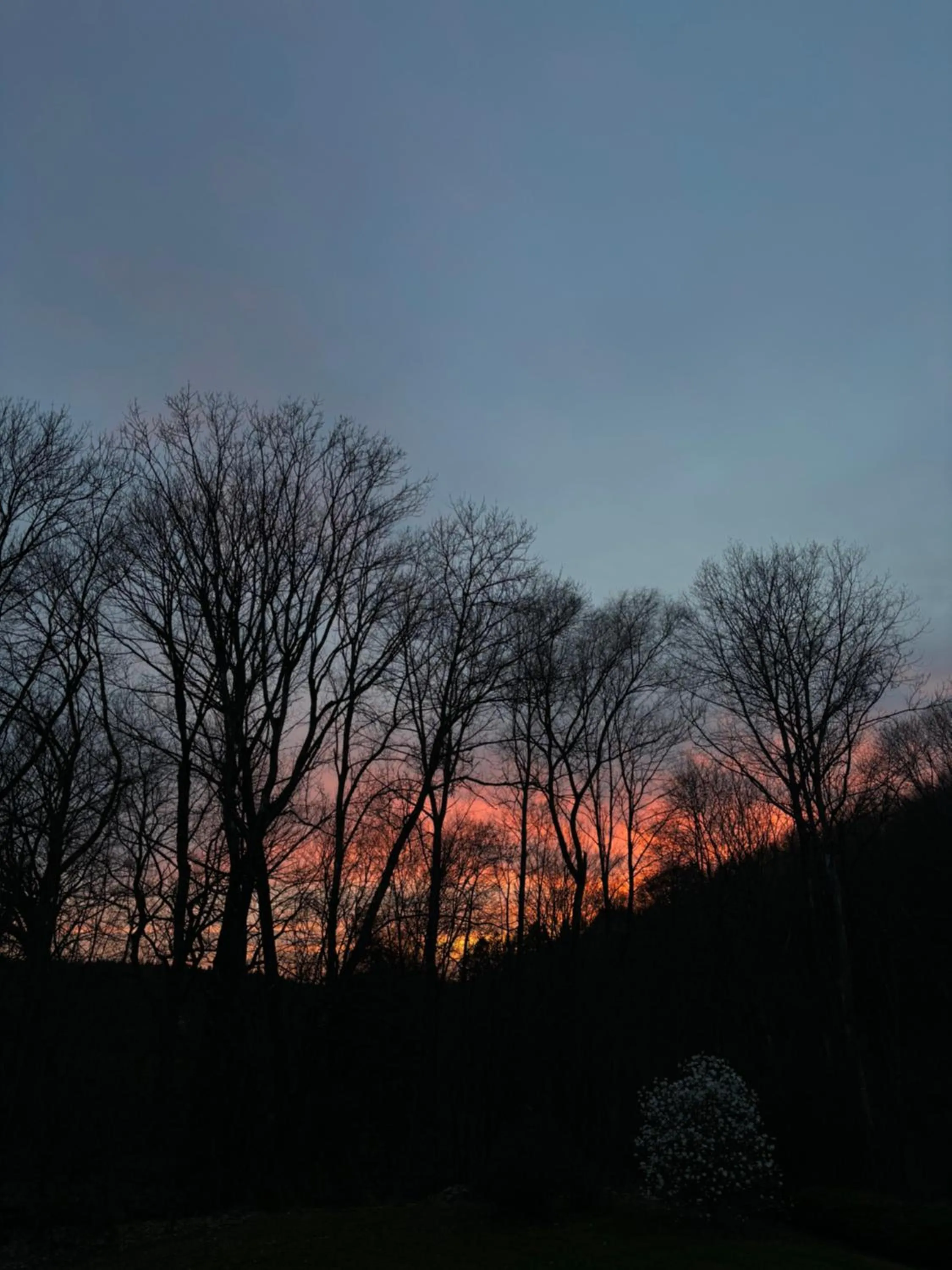 B&B Les Oiseaux de Passage