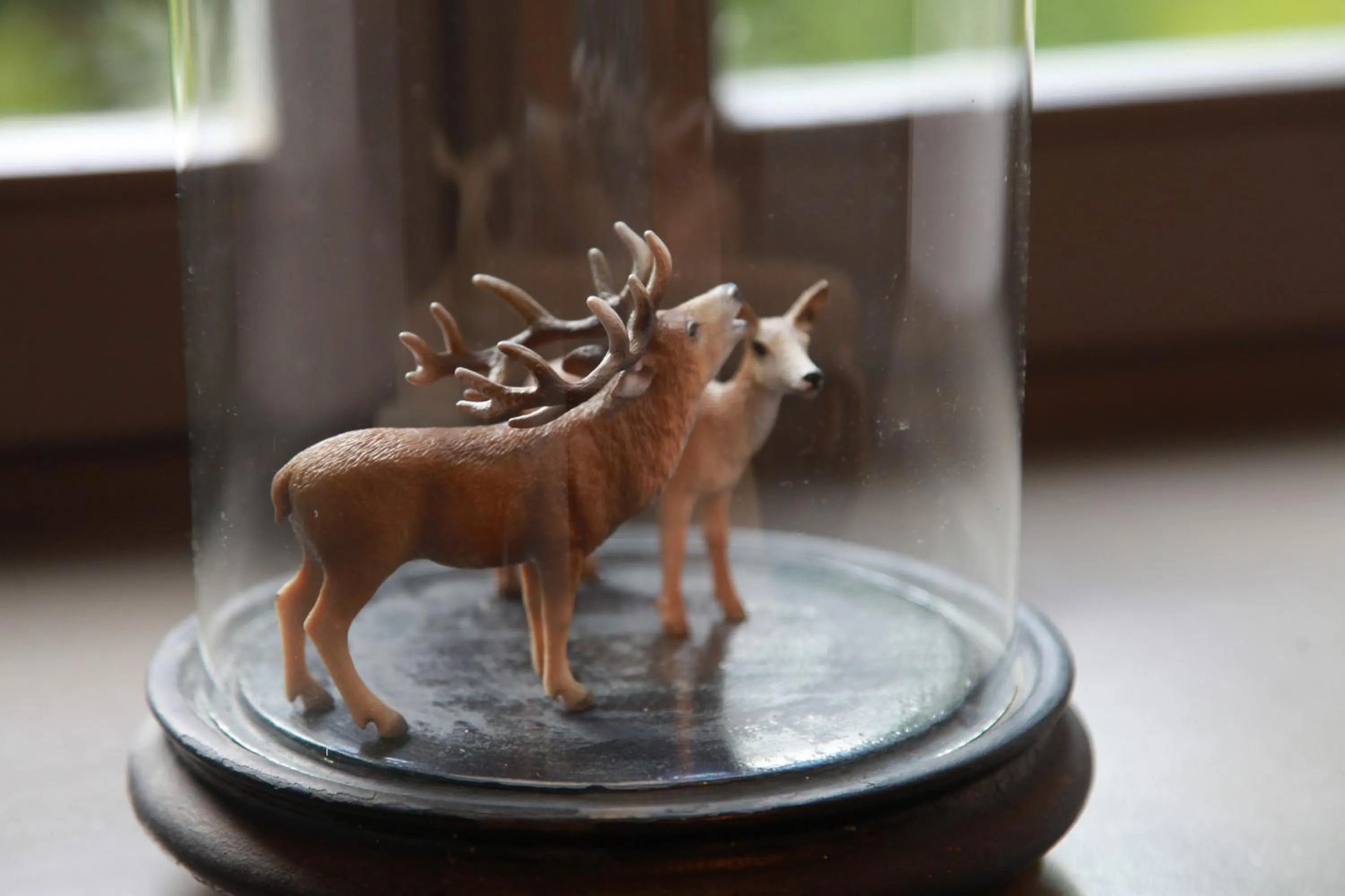 Other in B&B Les Oiseaux de Passage