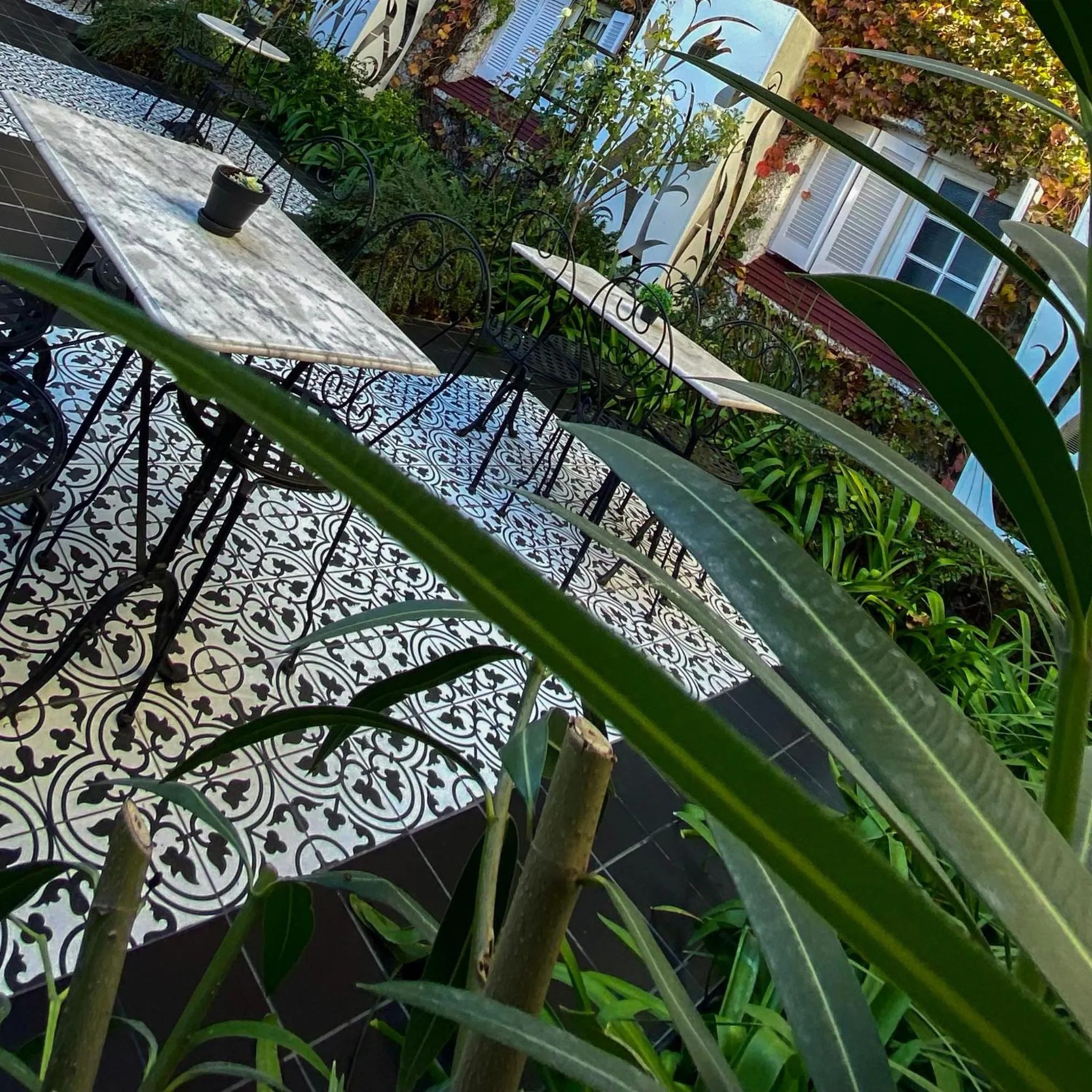 Garden in Altos de Guemes Hotel