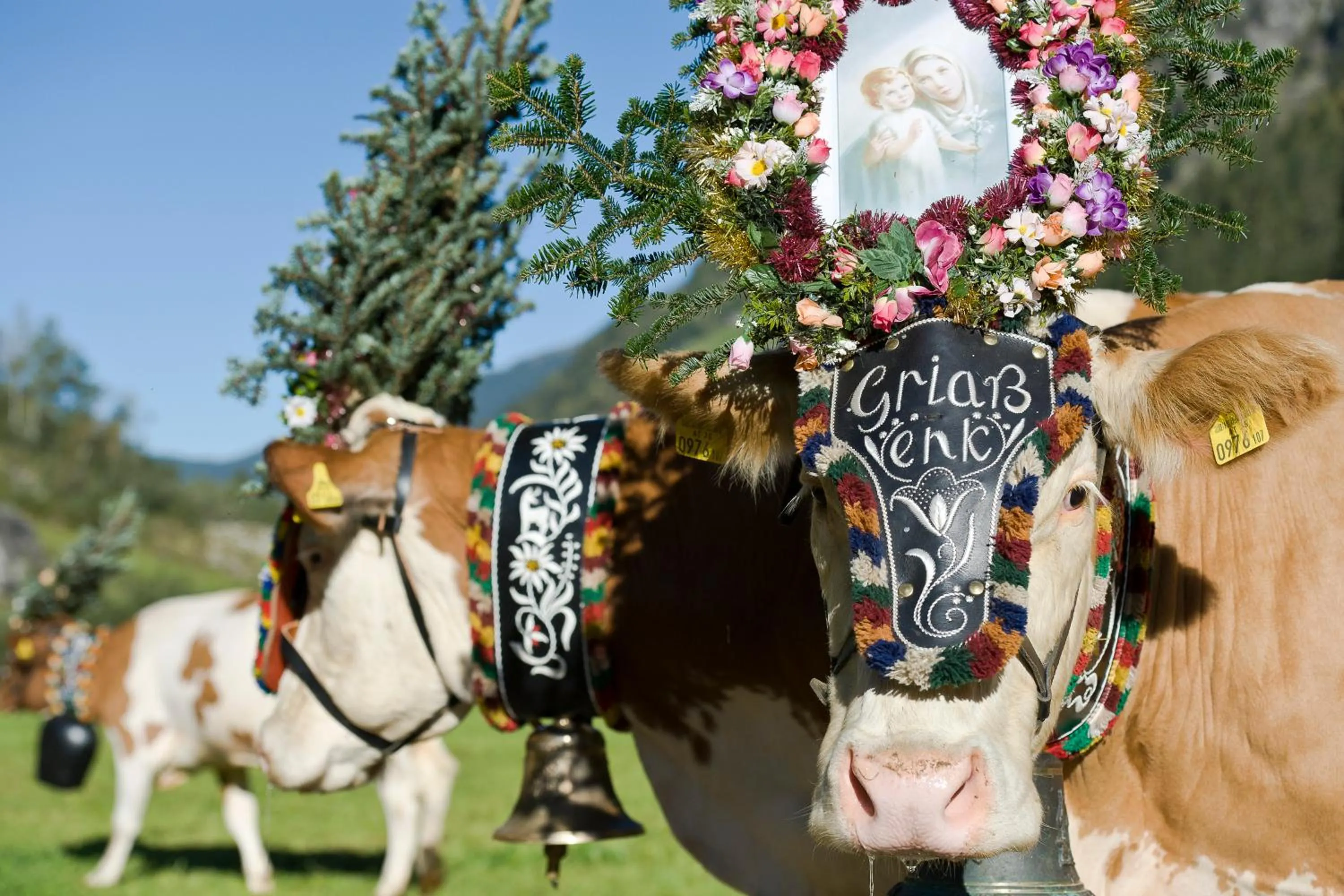 Der Siegeler B&B - this lifestylehotel rocks