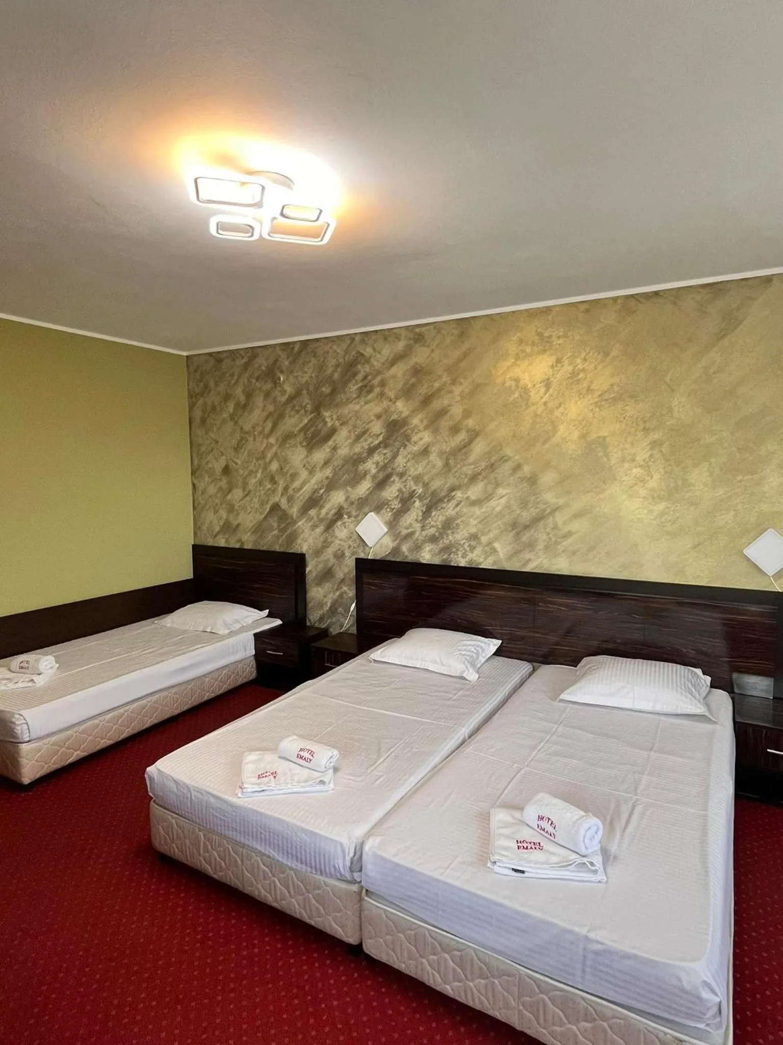 Bed in Family Hotel Emaly 2