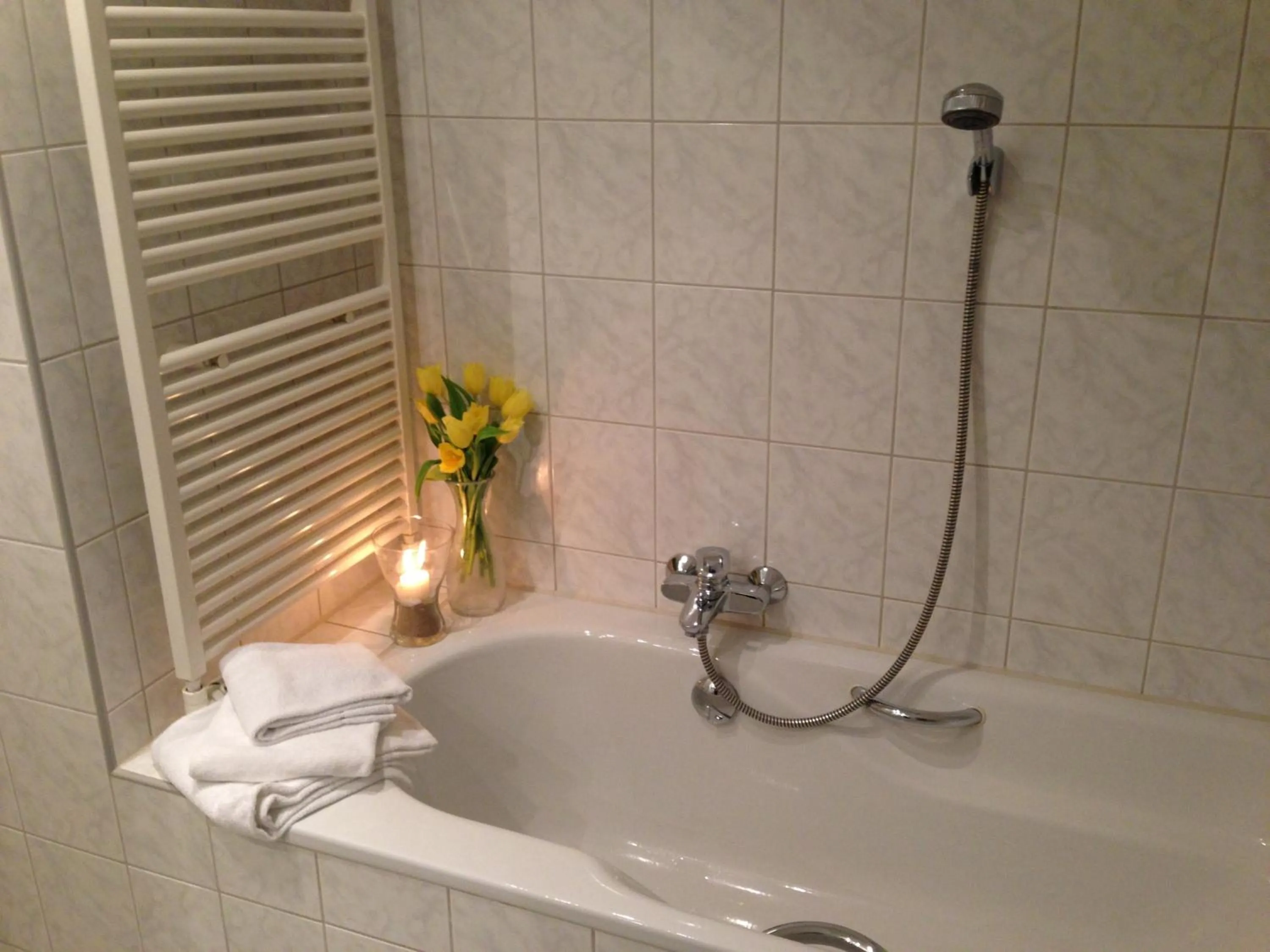 Bathroom in Landhaus Lockwitzgrund