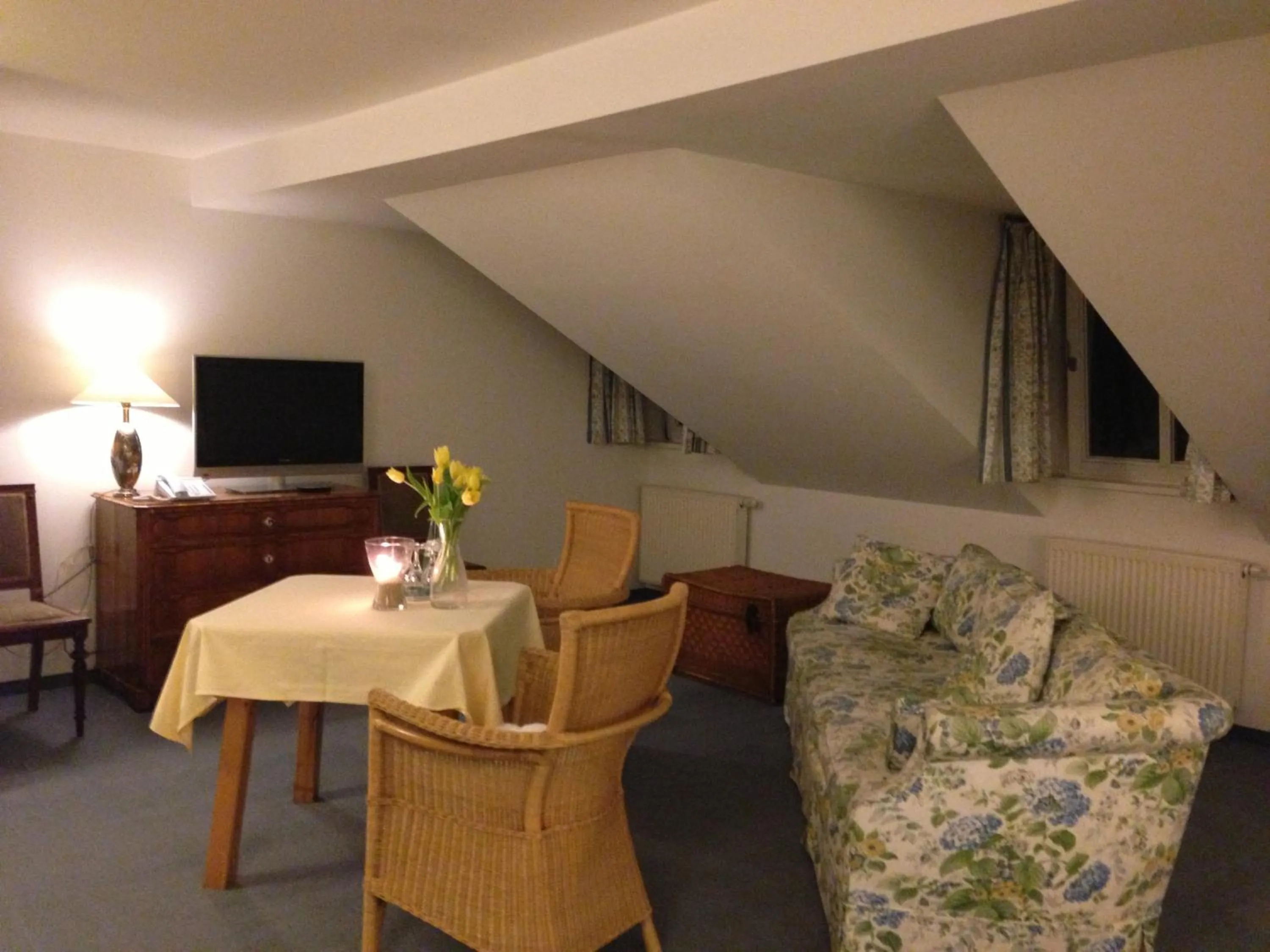 TV and multimedia in Landhaus Lockwitzgrund